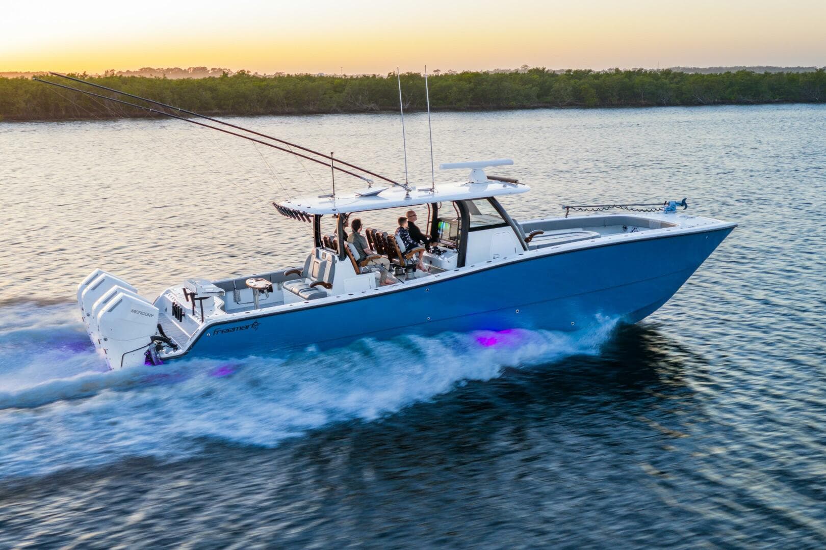 2025 Freeman — photo 2