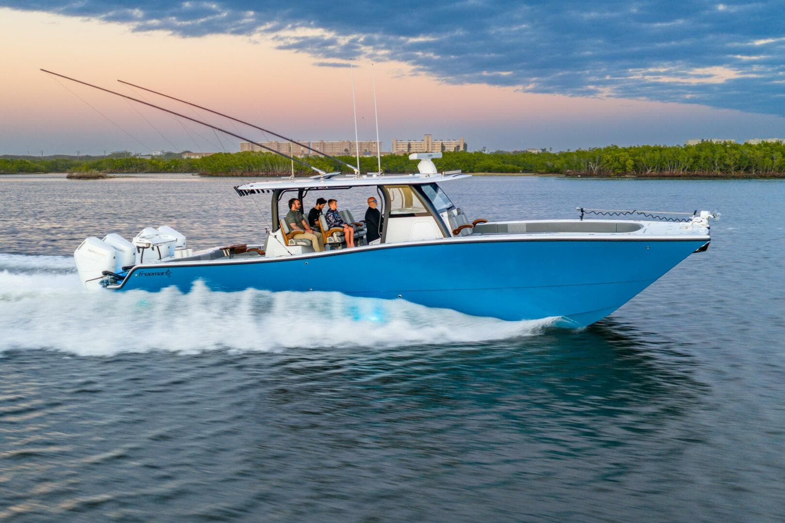 2025 Freeman — photo 6