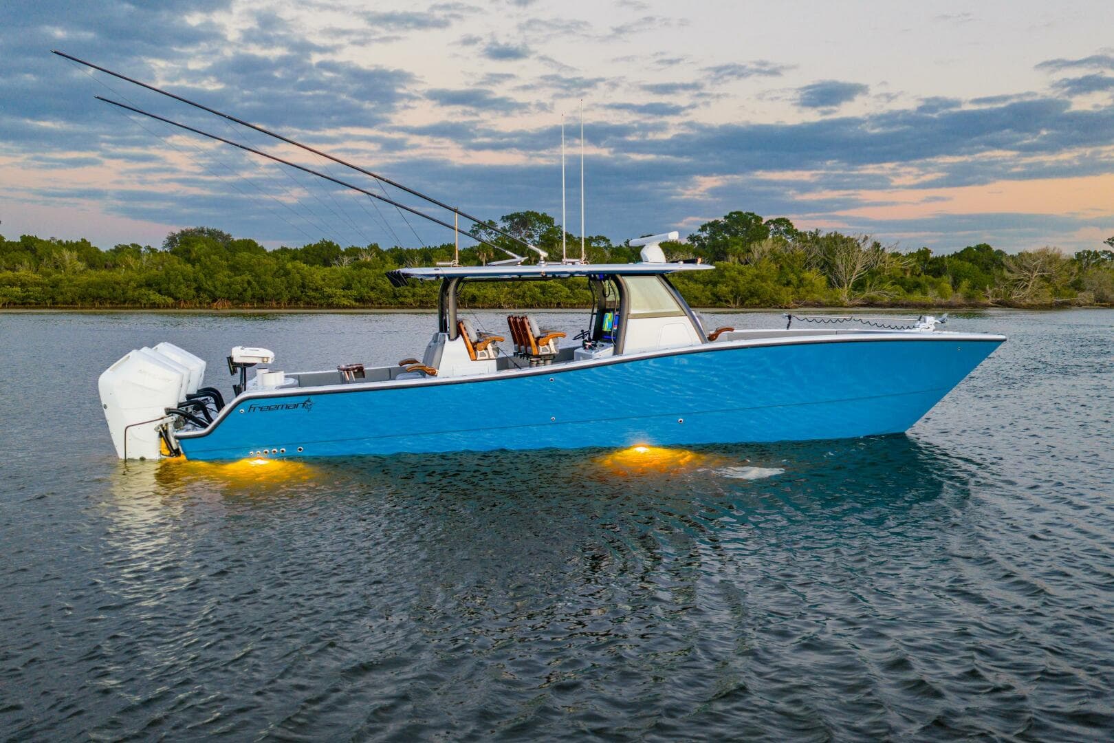 2025 Freeman — photo 9