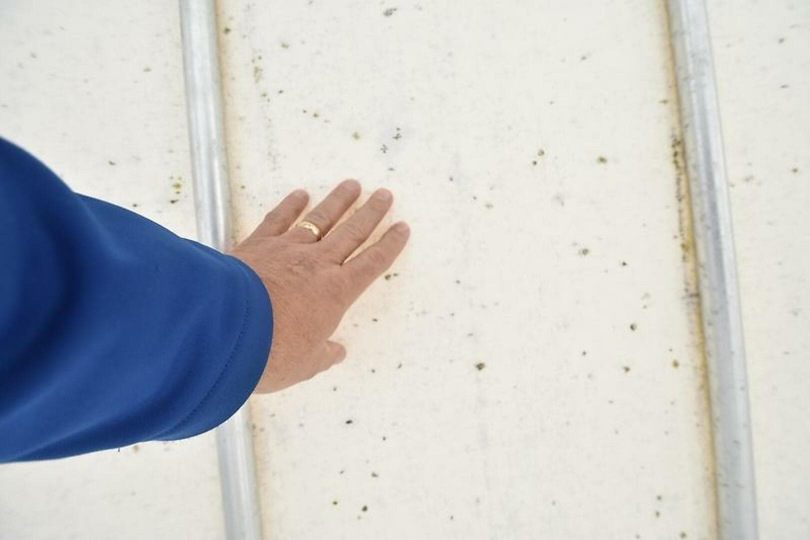 2007 Carolina Classic 28 Express — photo 51