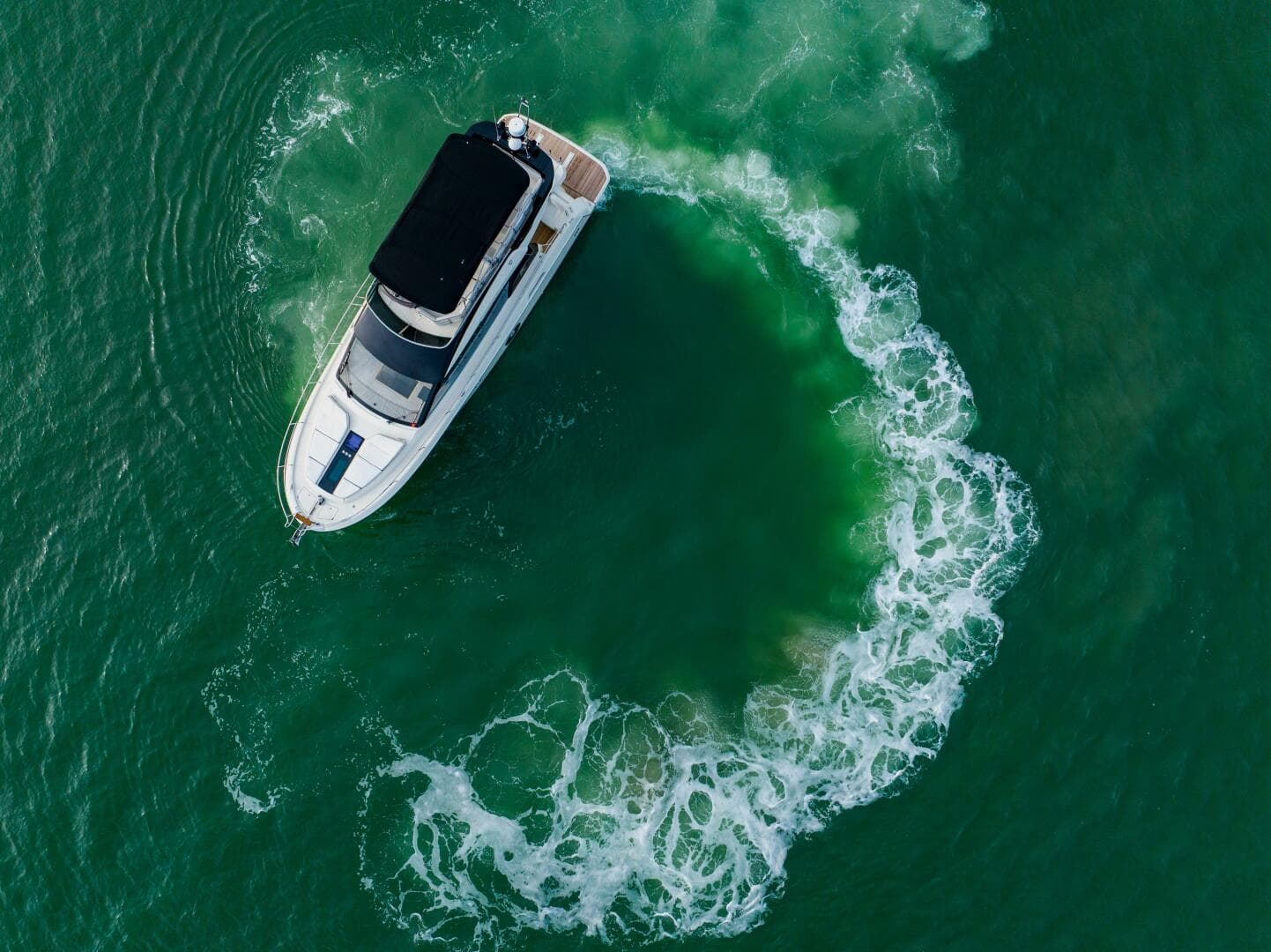 2015 Monte Carlo 5 — photo 11