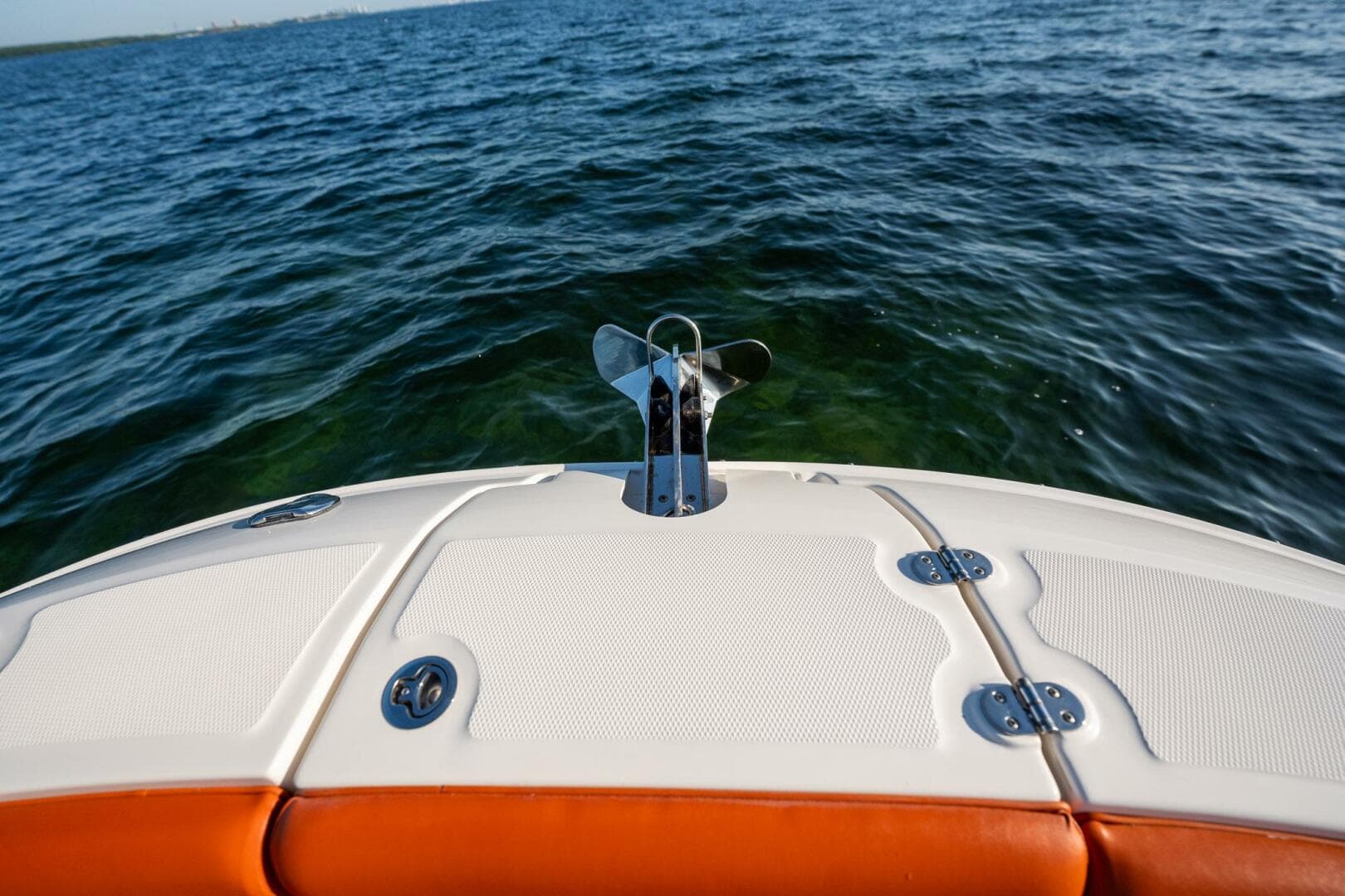 2019 Sea Ray Sdx 290 OB — photo 23
