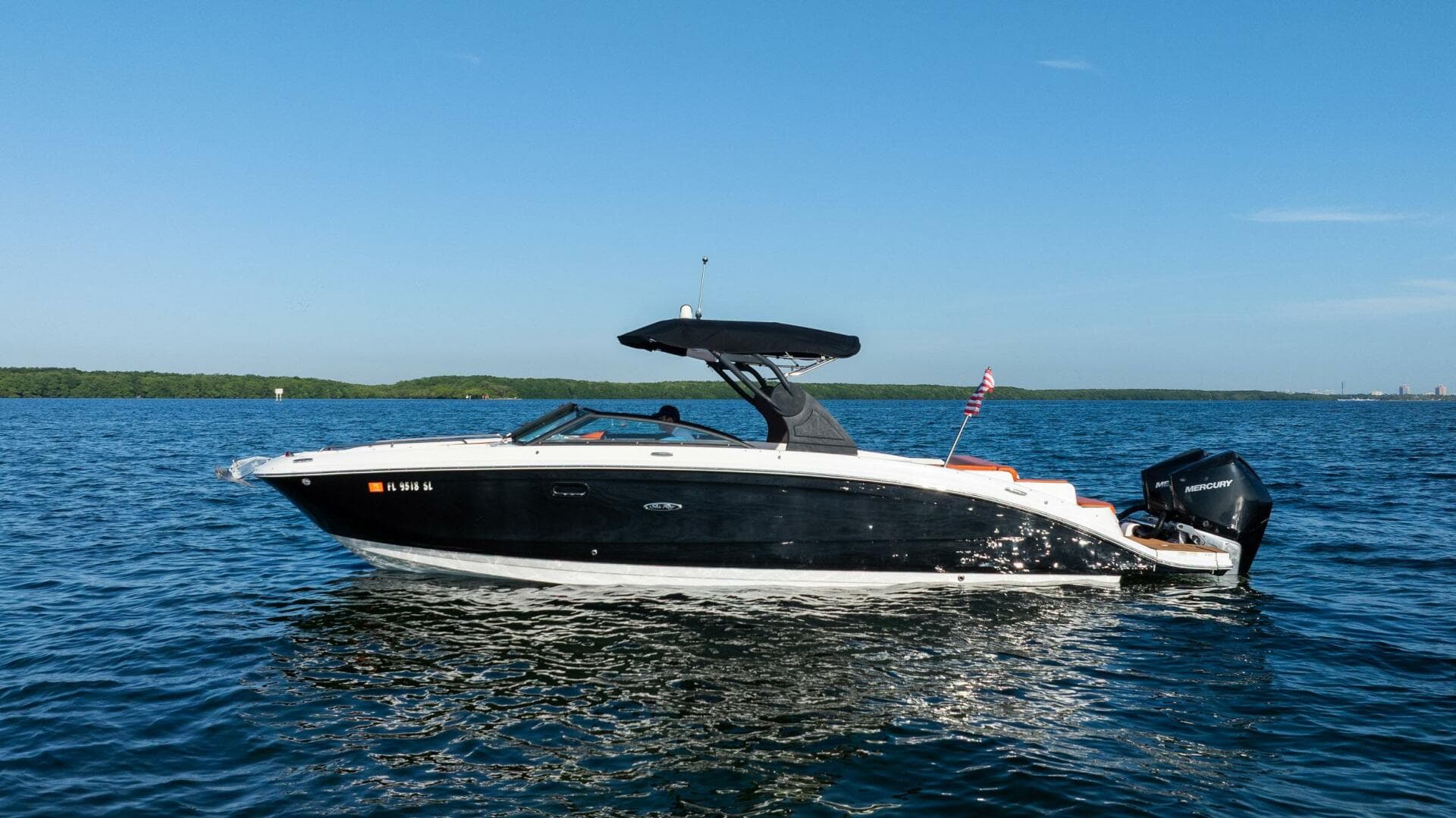 2019 Sea Ray Sdx 290 OB — photo 9