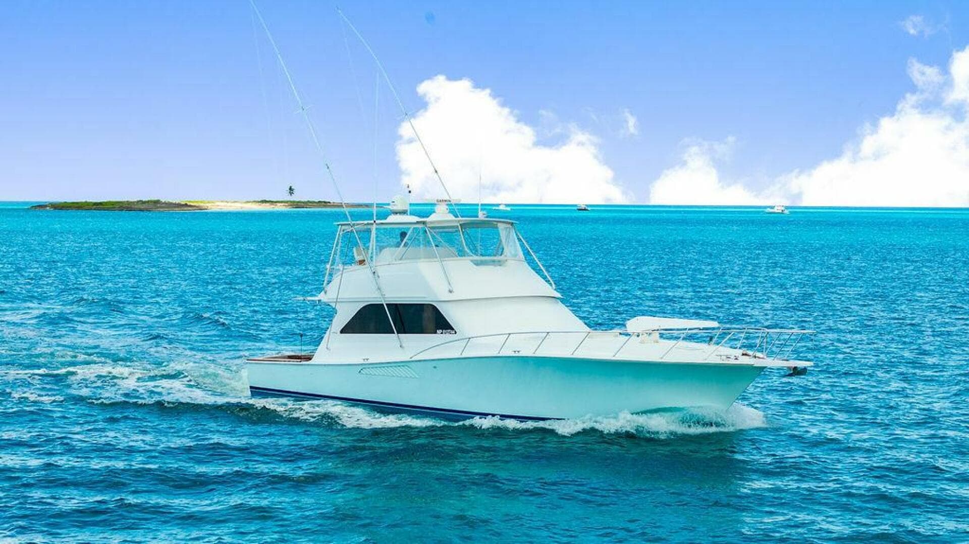 1999 Viking — photo 49