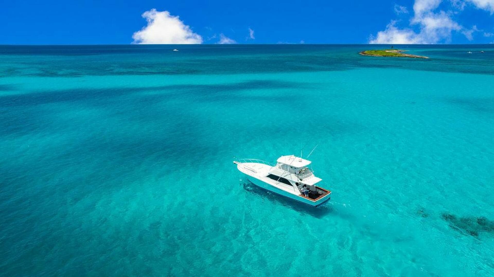 1999 Viking — photo 10