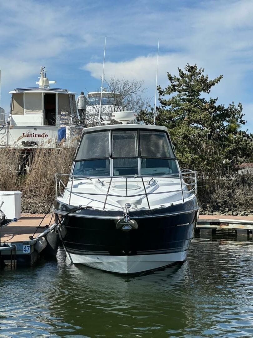 2017 Monterey 335S — photo 10