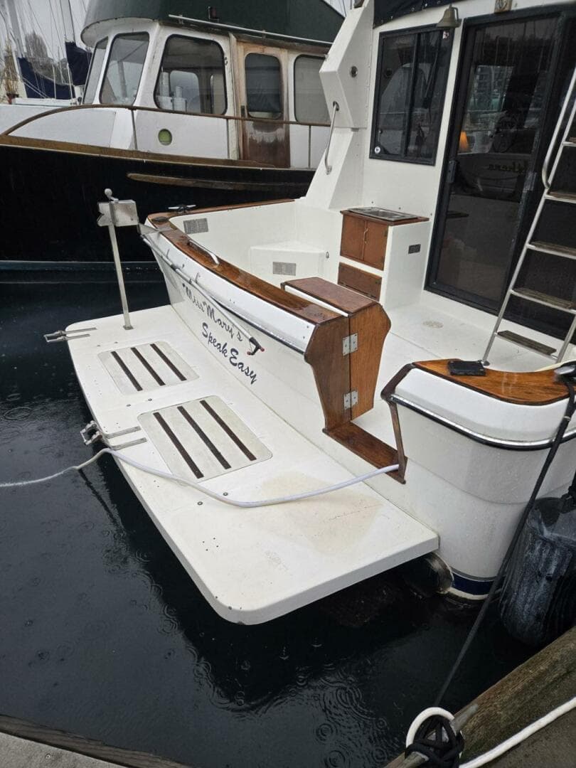 1991 Cooper Prowler — photo 17