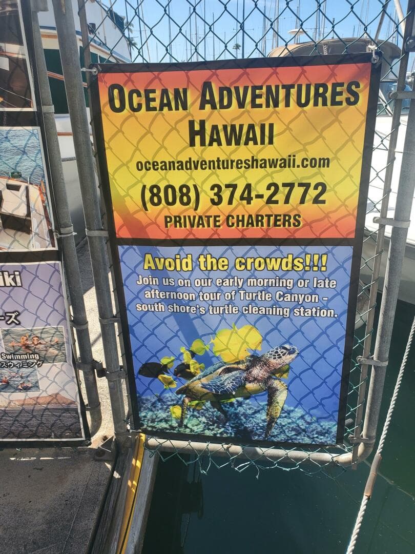 1981 Chb Sedan-Aft Cabin — photo 5