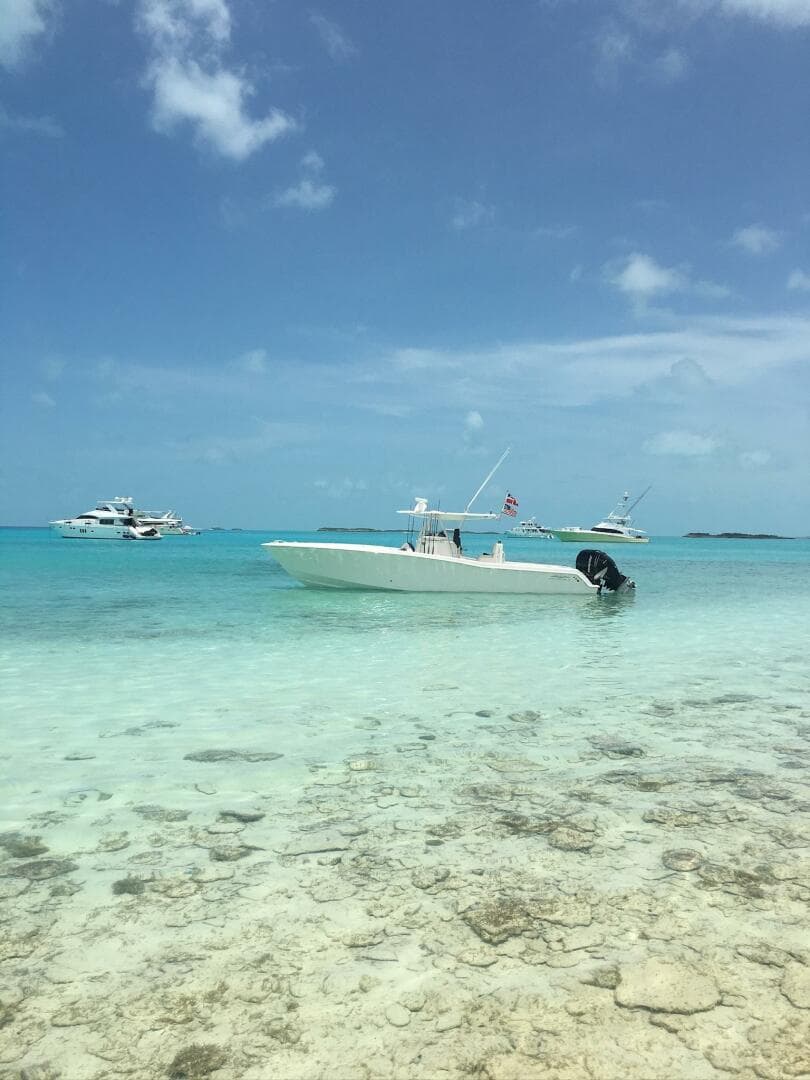 2016 Invincible Open Fisherman — photo 3