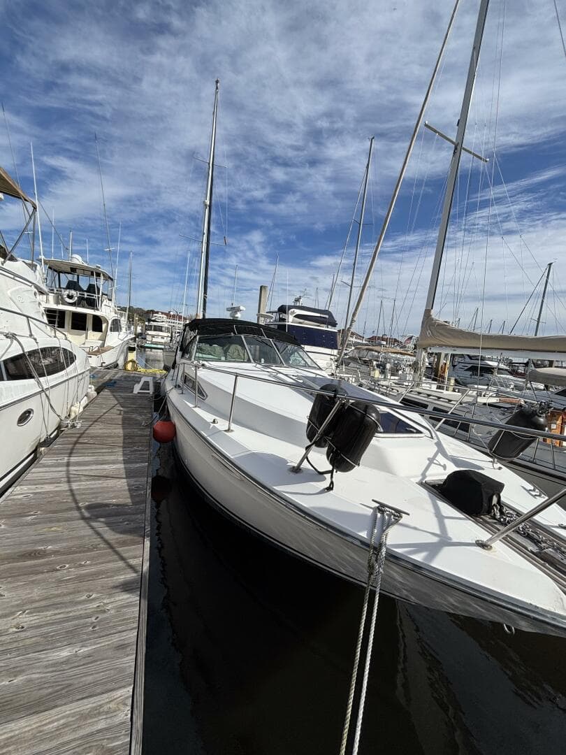 1989 Sea Ray 340 Sundancer — photo 2