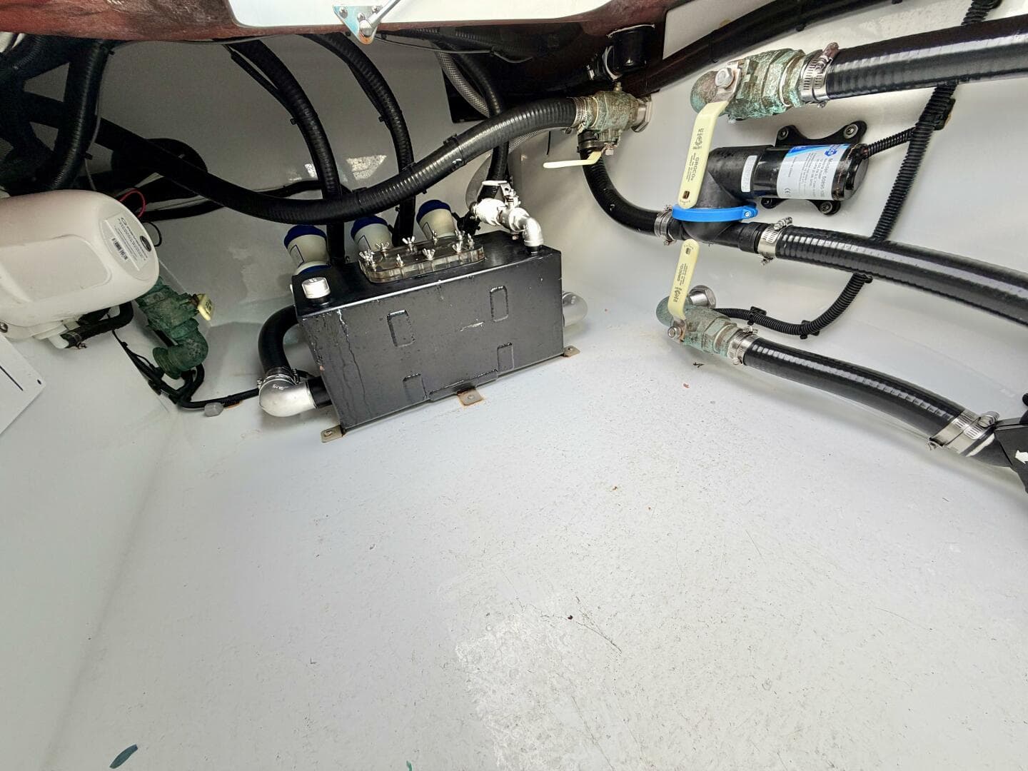 2024 Freeman 37 — photo 28