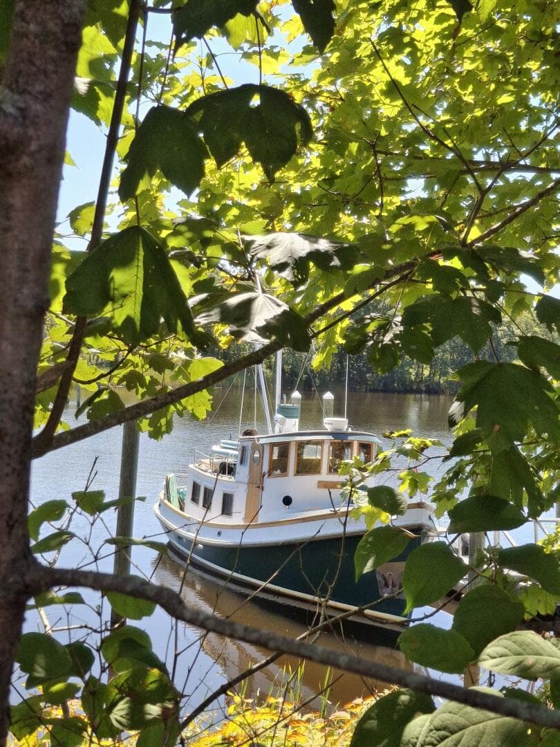 1983 Lord Nelson — photo 3