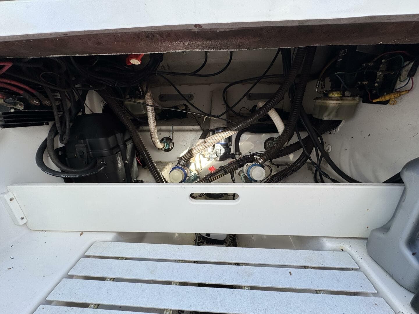 2006 Palmetto 33 Adventure — photo 11