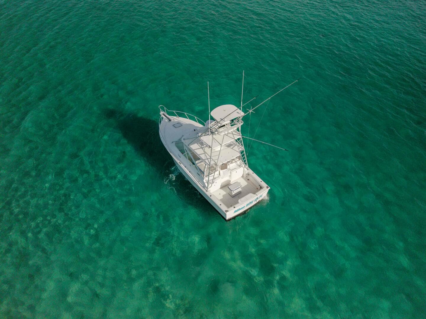 2005 Cabo 35 Express — photo 41