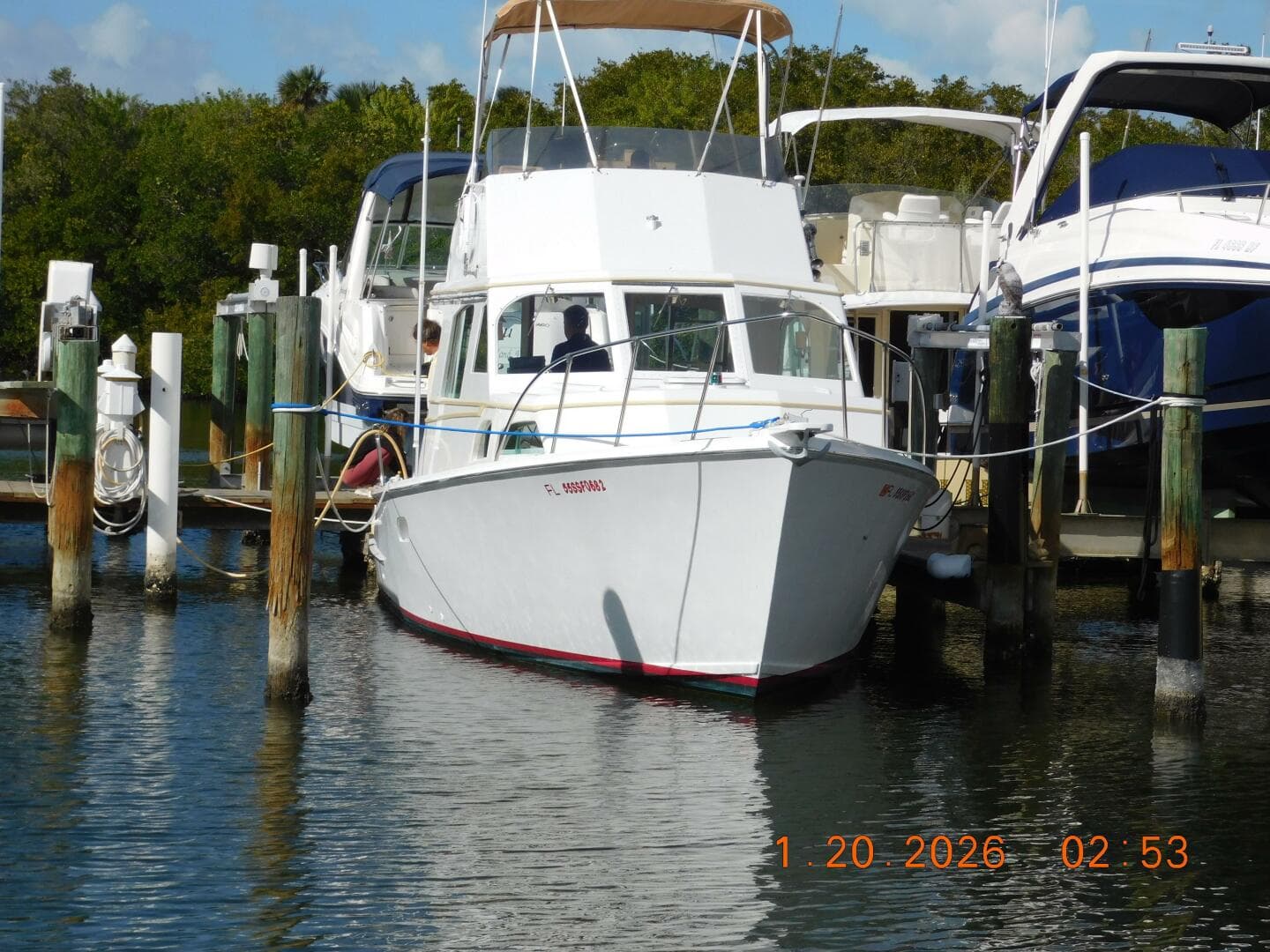 1982 Whiticar Flybridge Convertible — photo 66