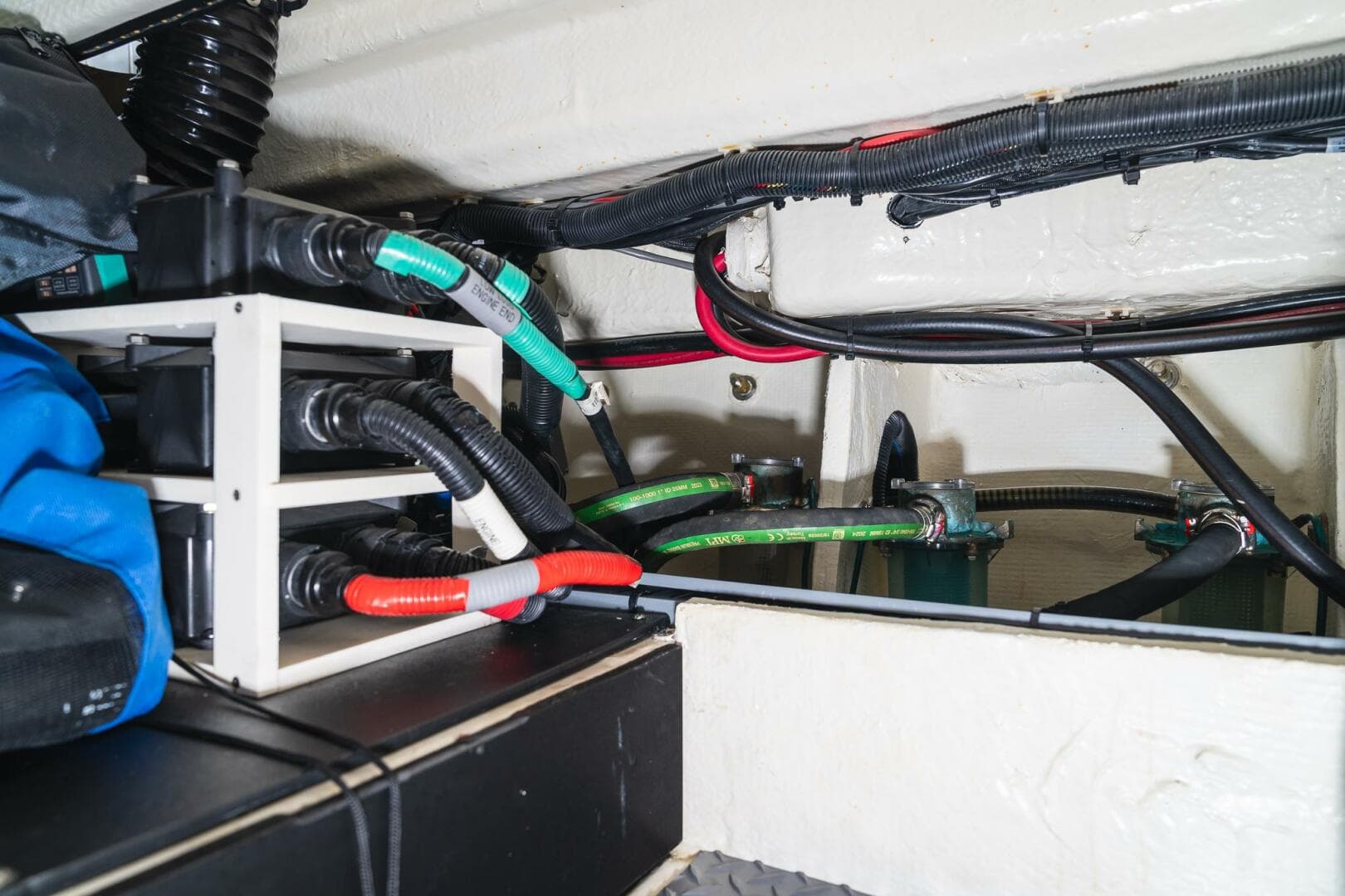 2025 Regal Sav — photo 11