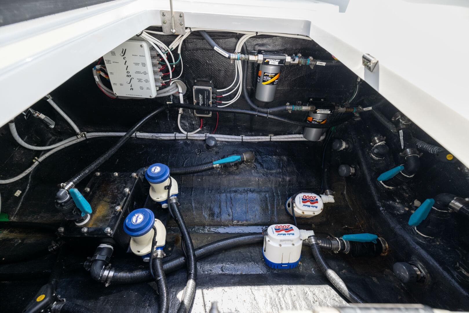 2023 Yellowfin — photo 80