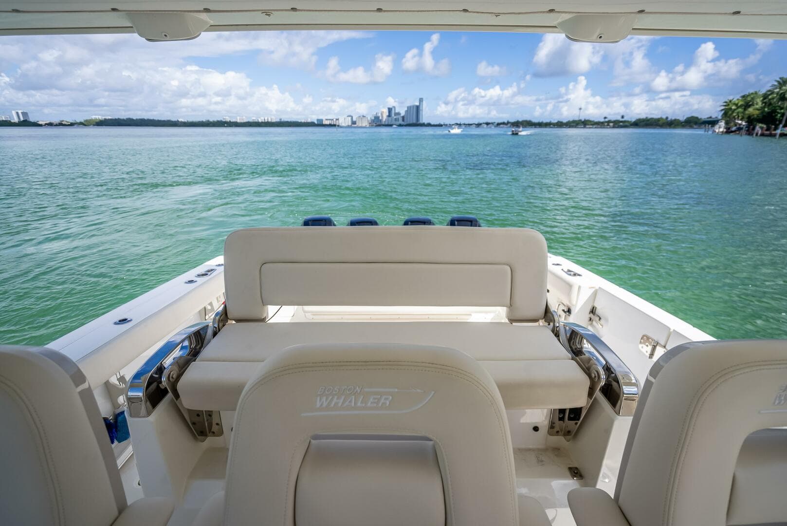 2016 Boston Whaler — photo 124