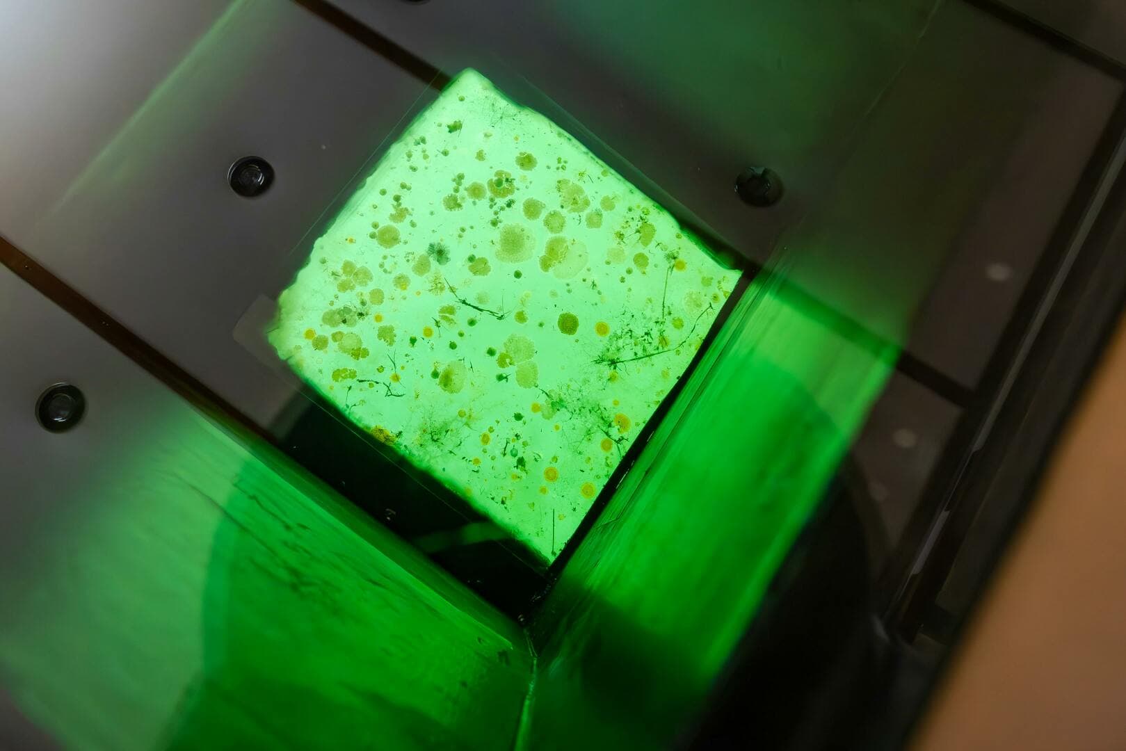 1974 Willard Boat Works Custom — photo 23