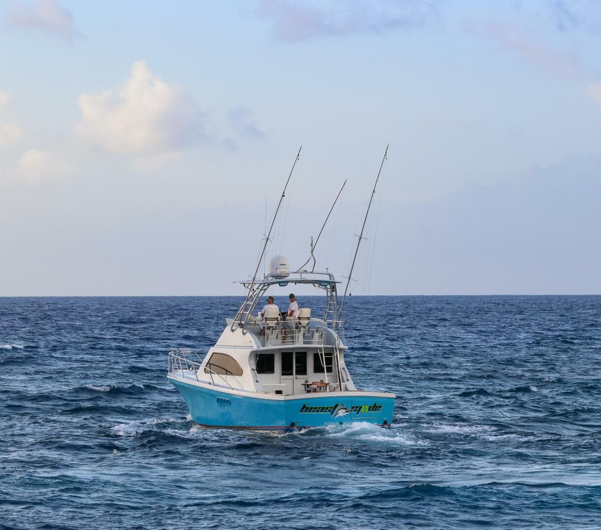 2001 Black Watch — photo 5