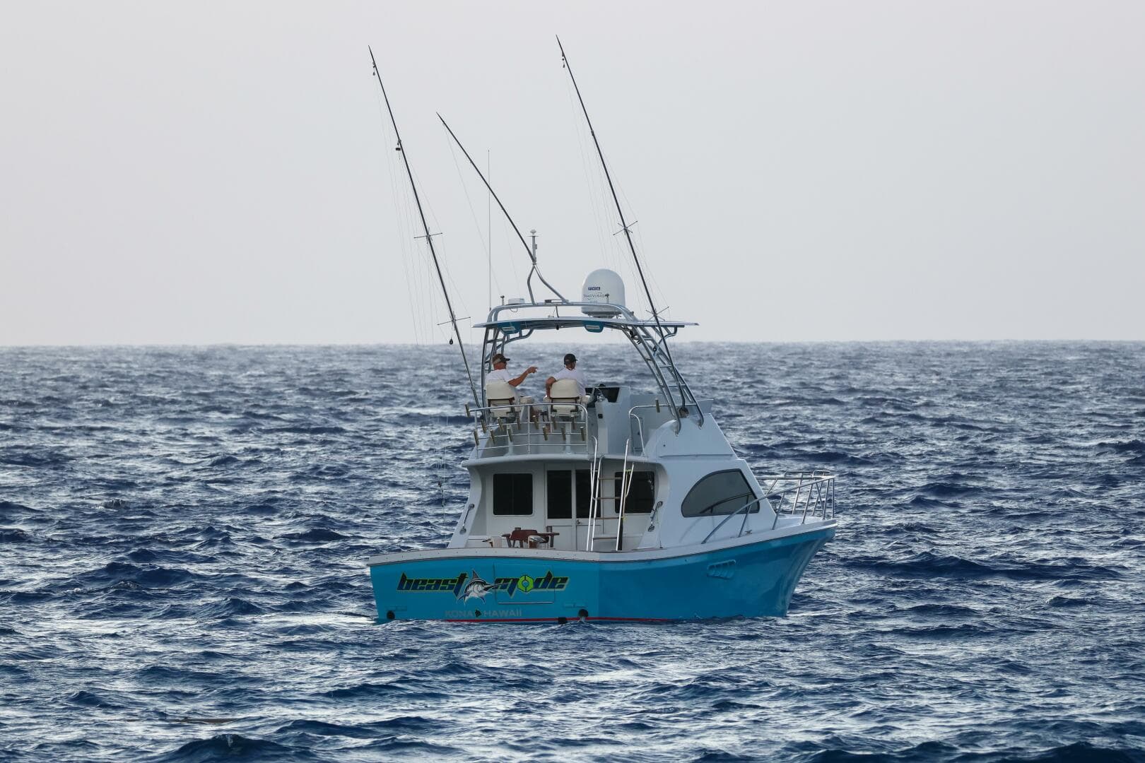 2001 Black Watch — photo 3