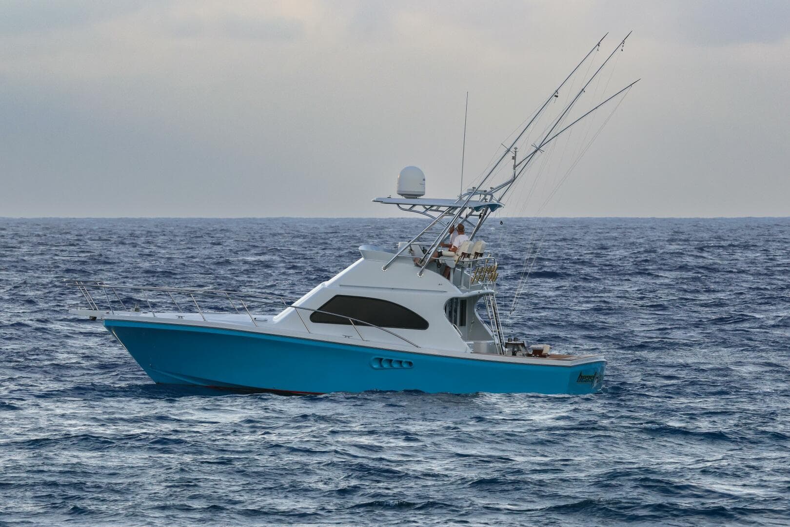 2001 Black Watch — photo 4