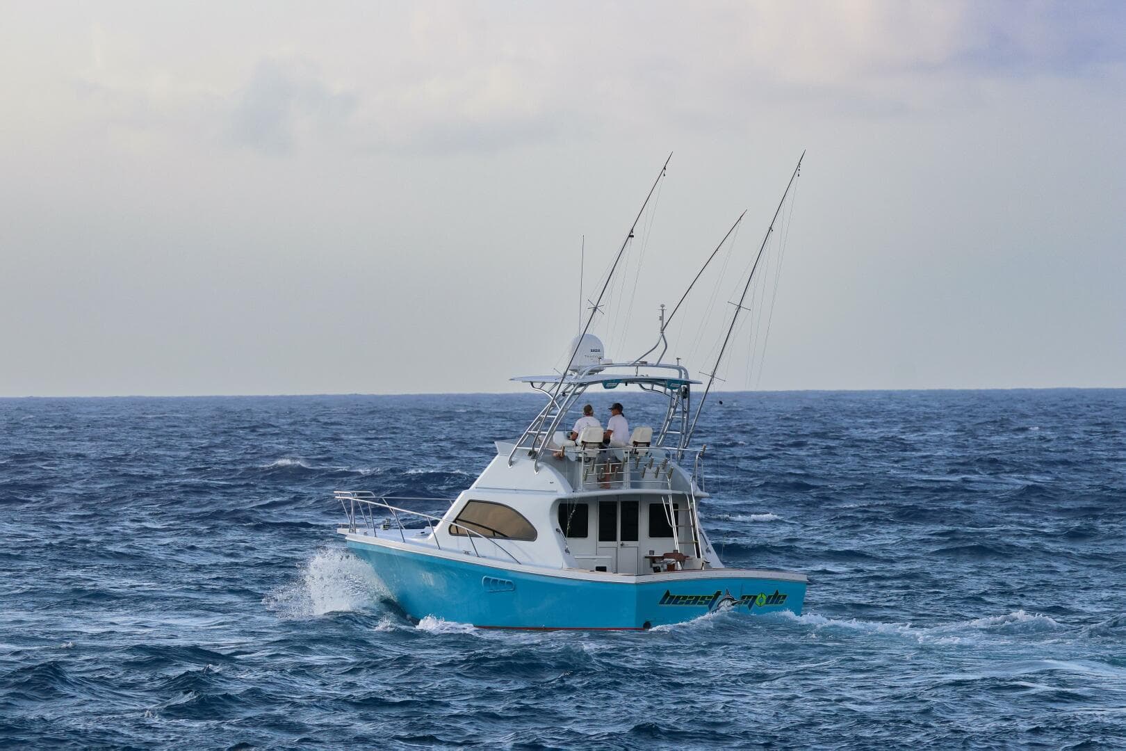 2001 Black Watch — photo 2