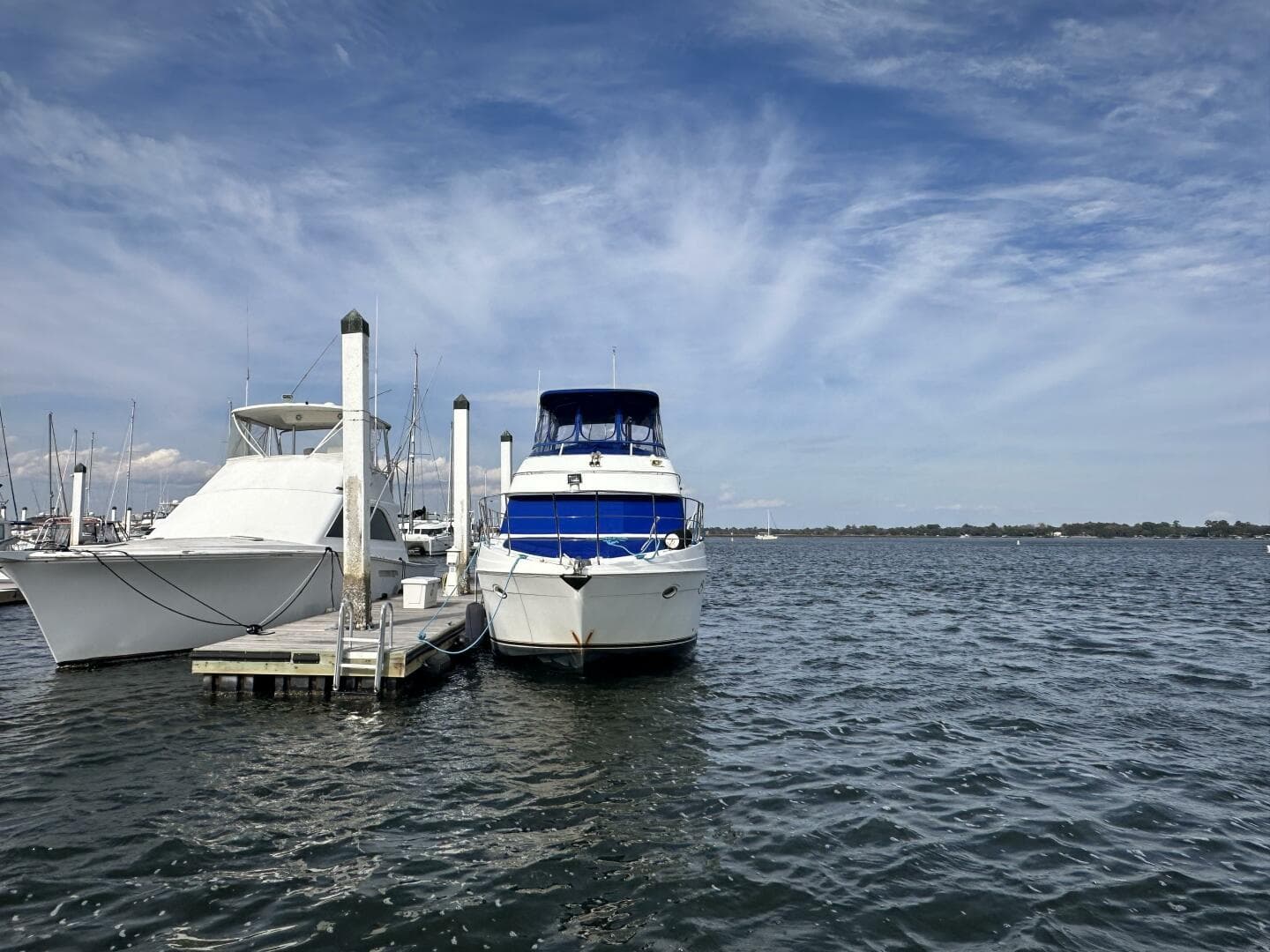 2005 Carver 36 SS — photo 6