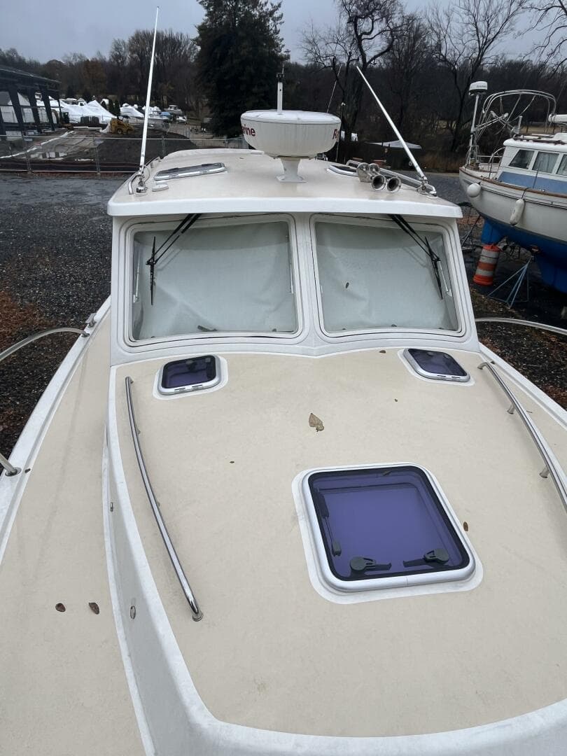 2018 Mjm — photo 5