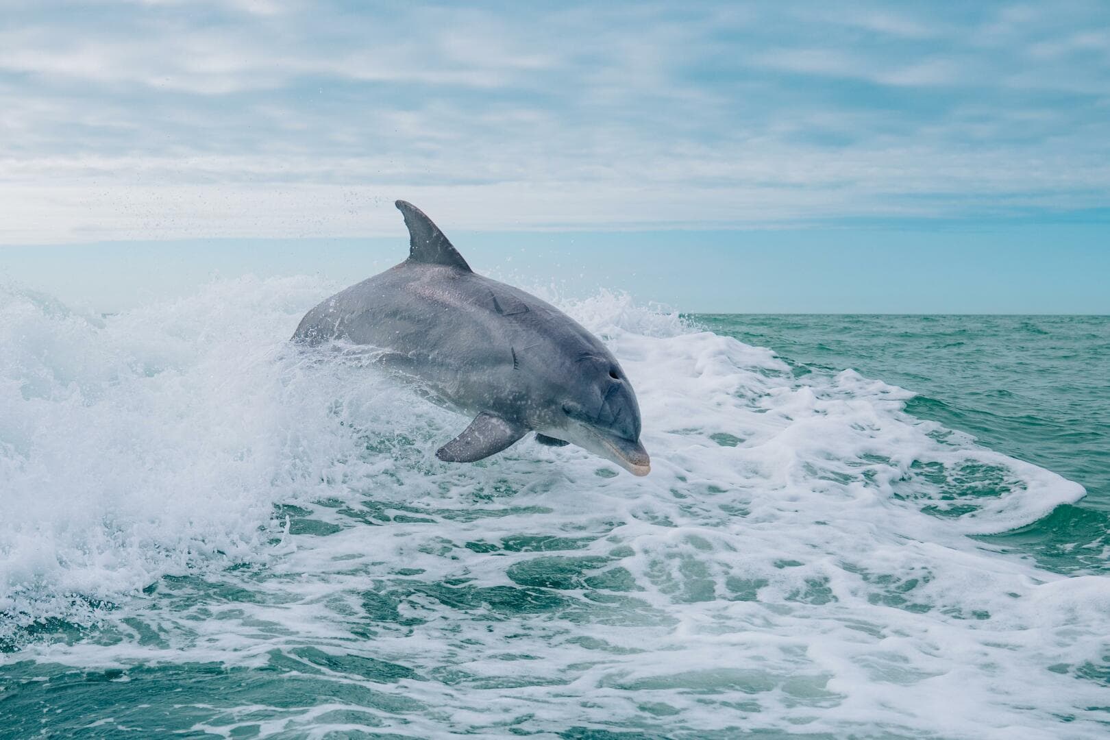 2020 Tiara Sport 38 LS — photo 36