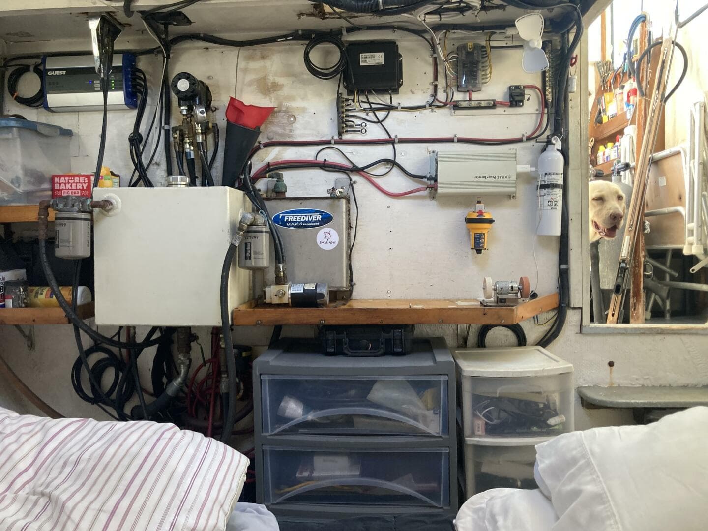 1986 Bhm — photo 17