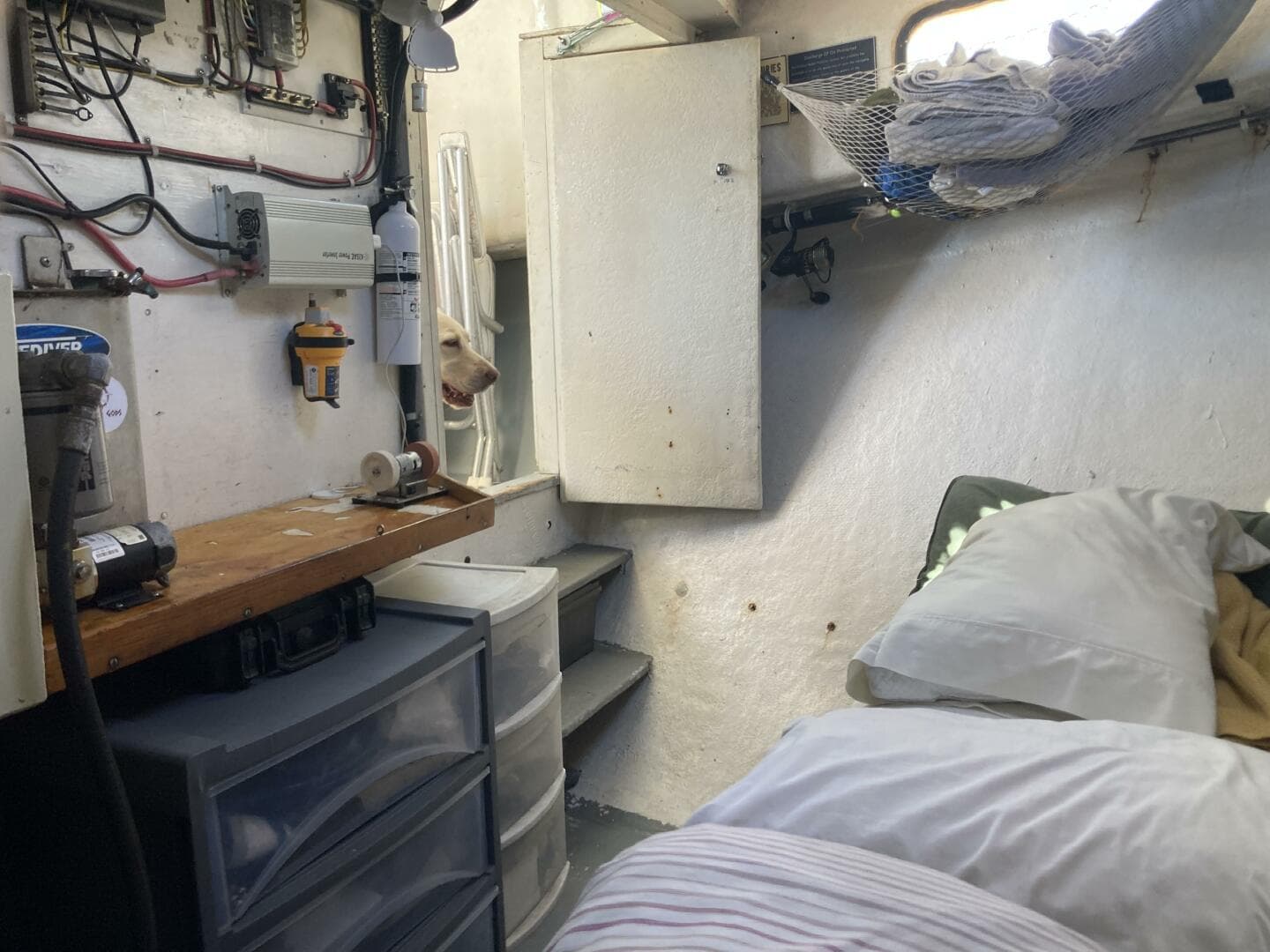 1986 Bhm — photo 18