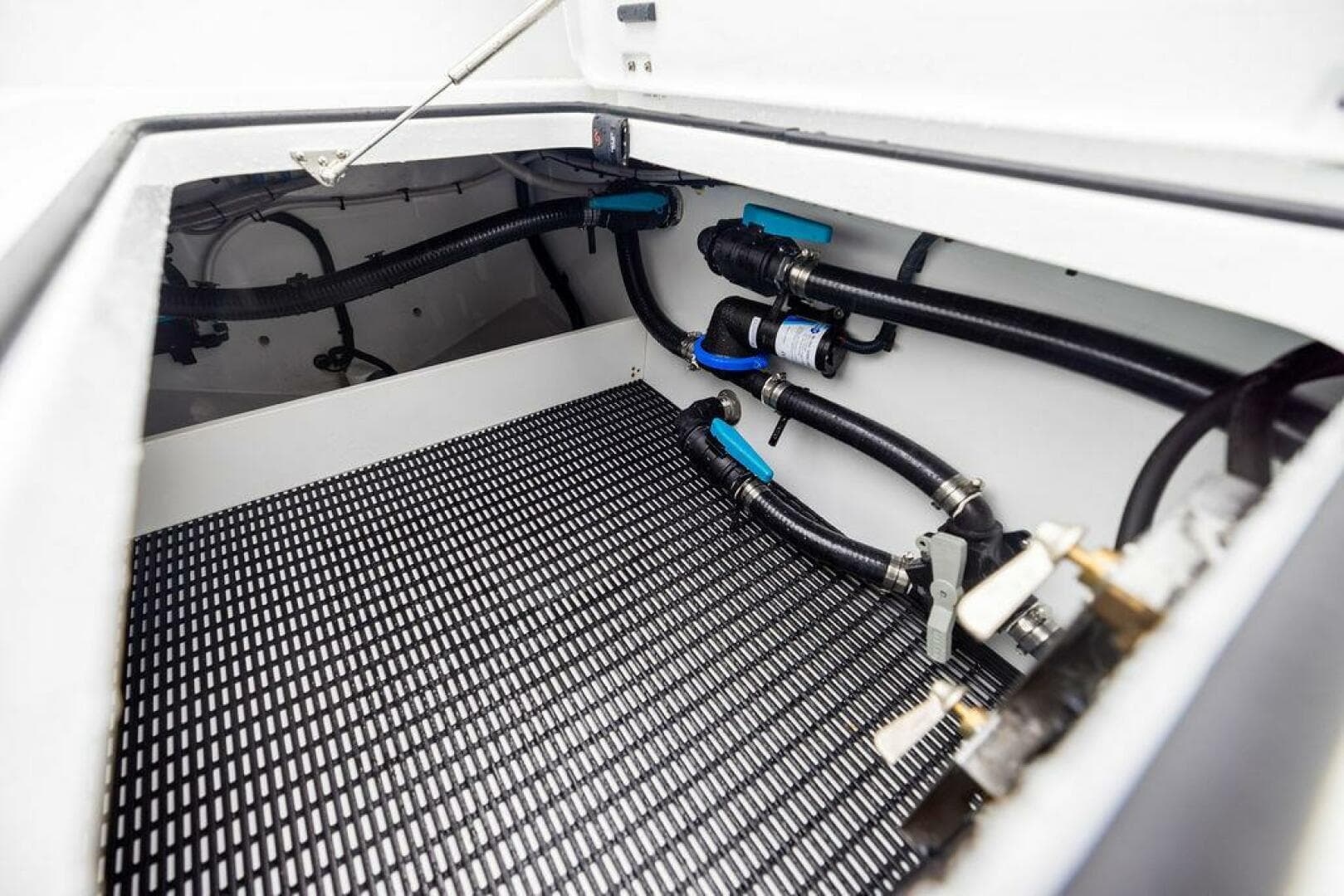 2025 Freeman 38 — photo 36