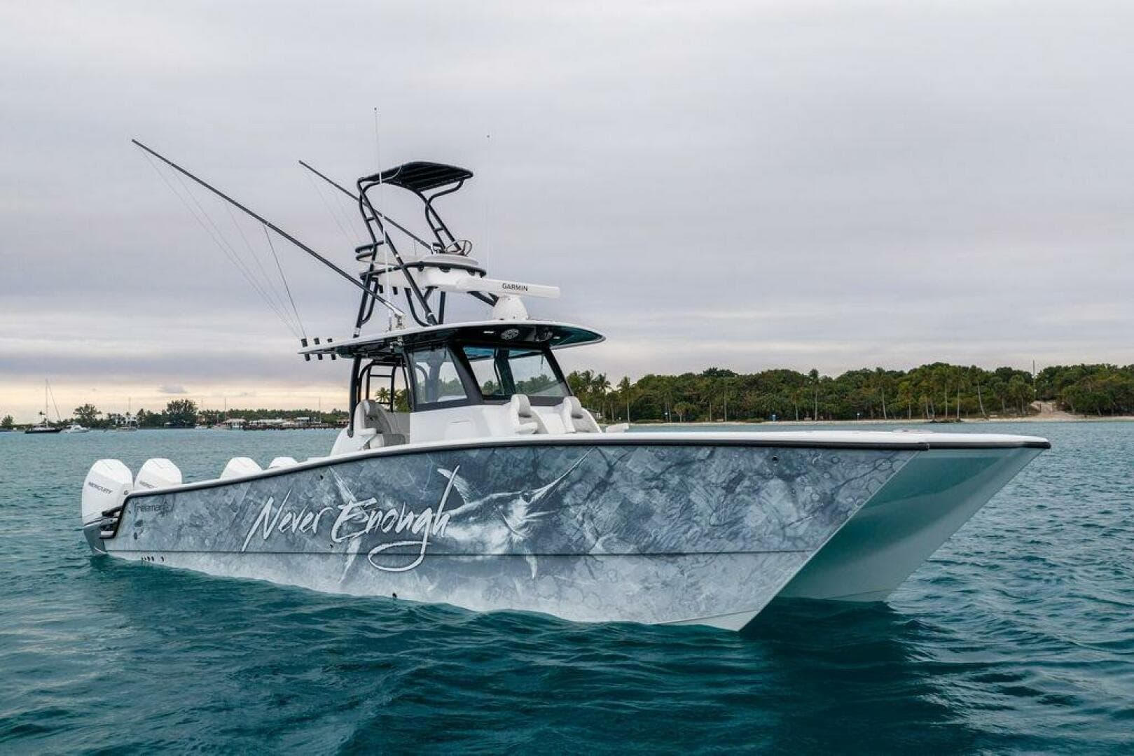 2025 Freeman 38 — photo 3