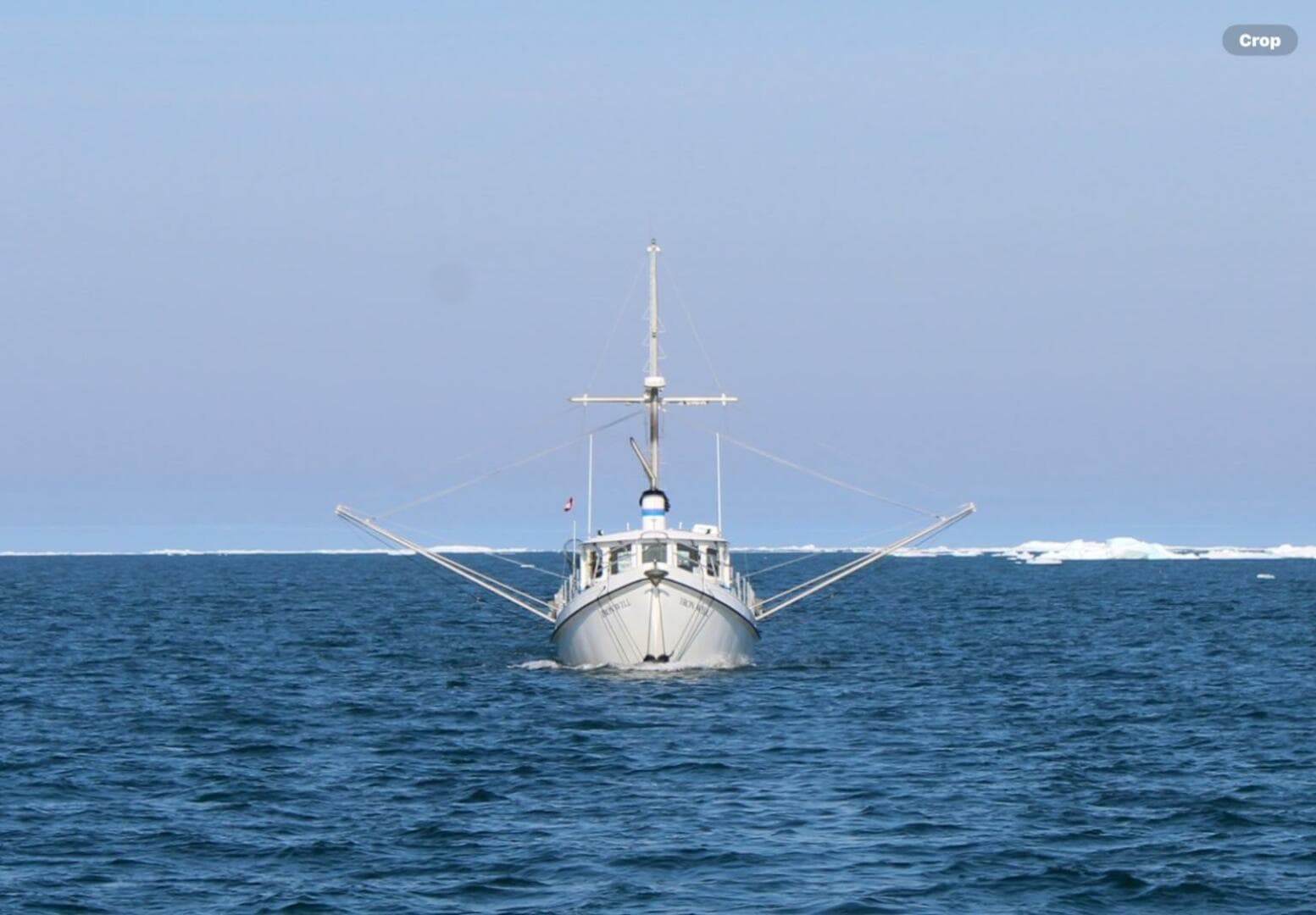 2006 Custom Sprague — photo 5