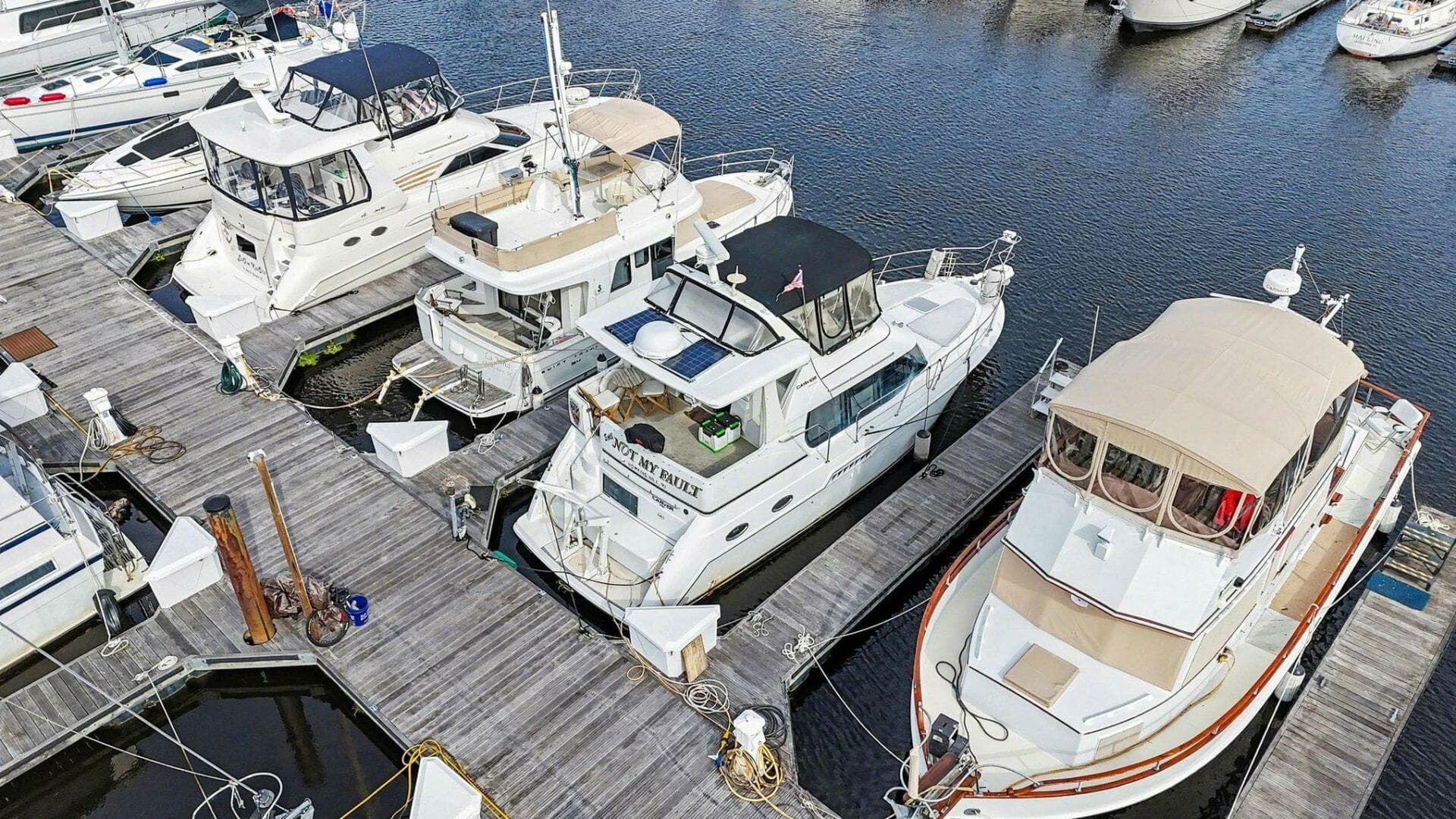 2001 Carver 356 — photo 30