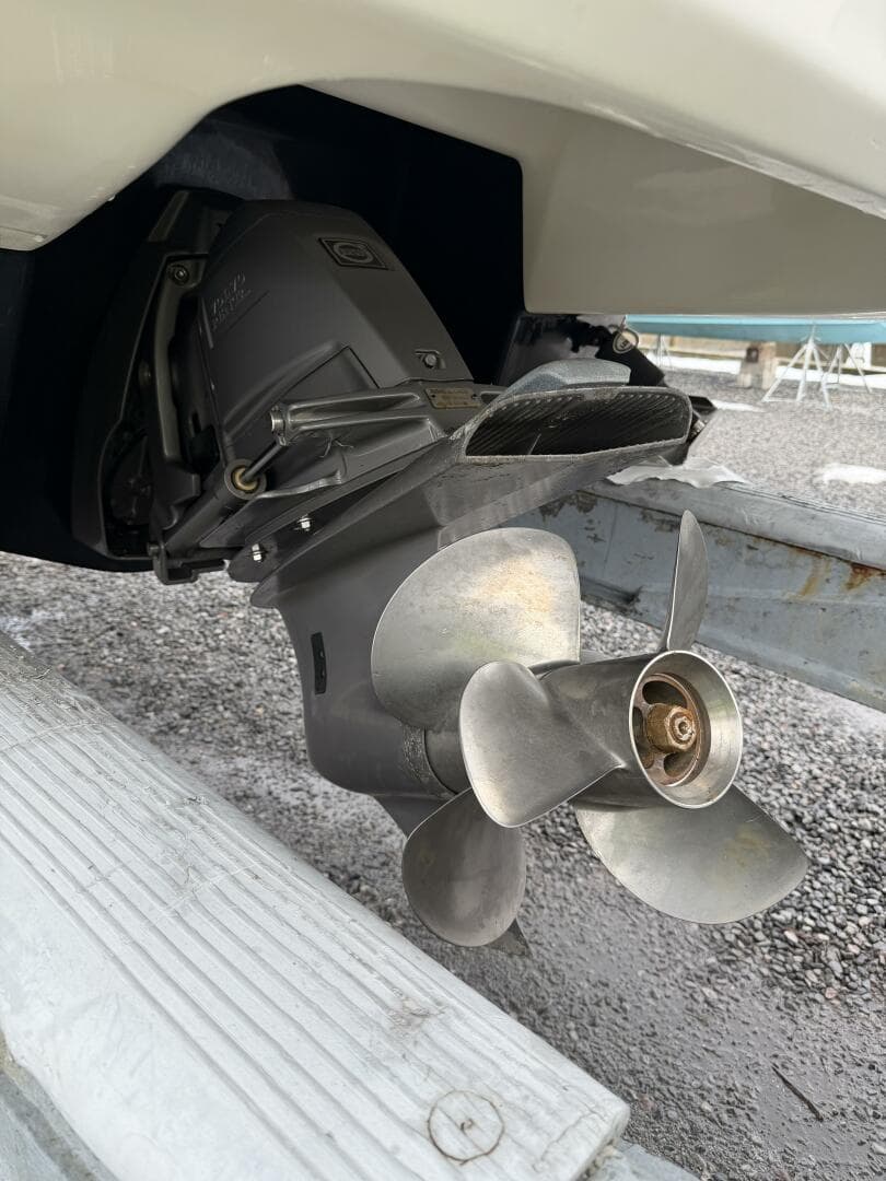 2016 Chaparral 264 Sunsesta — photo 20