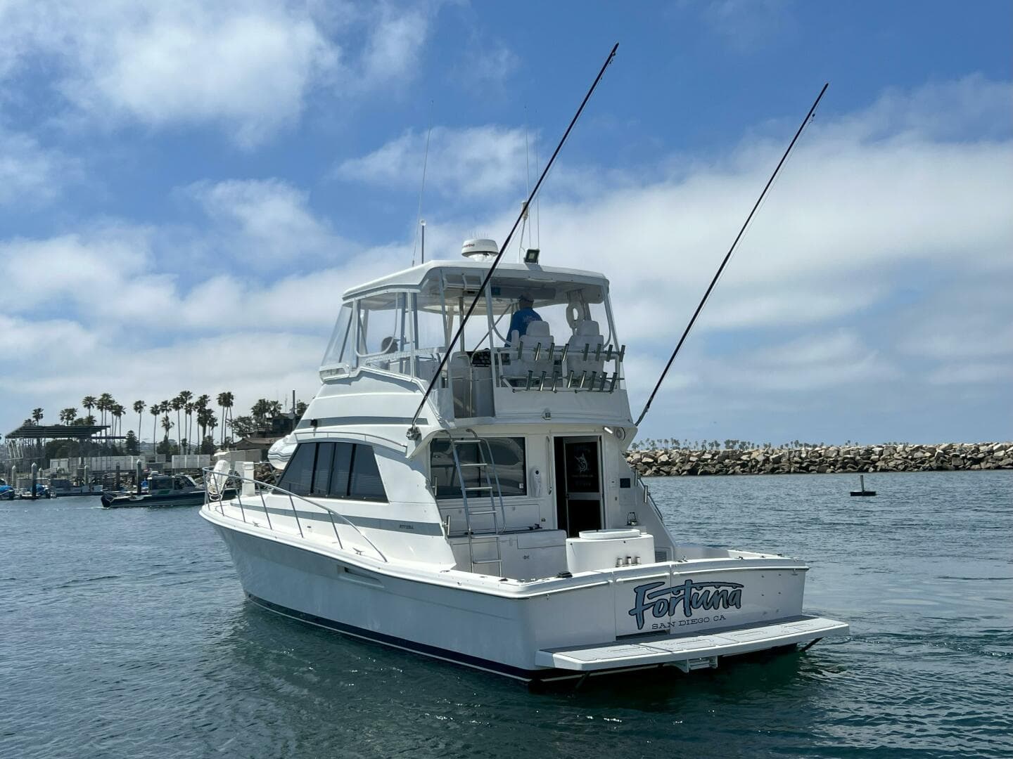 2002 Riviera 43 Flybridge — photo 20