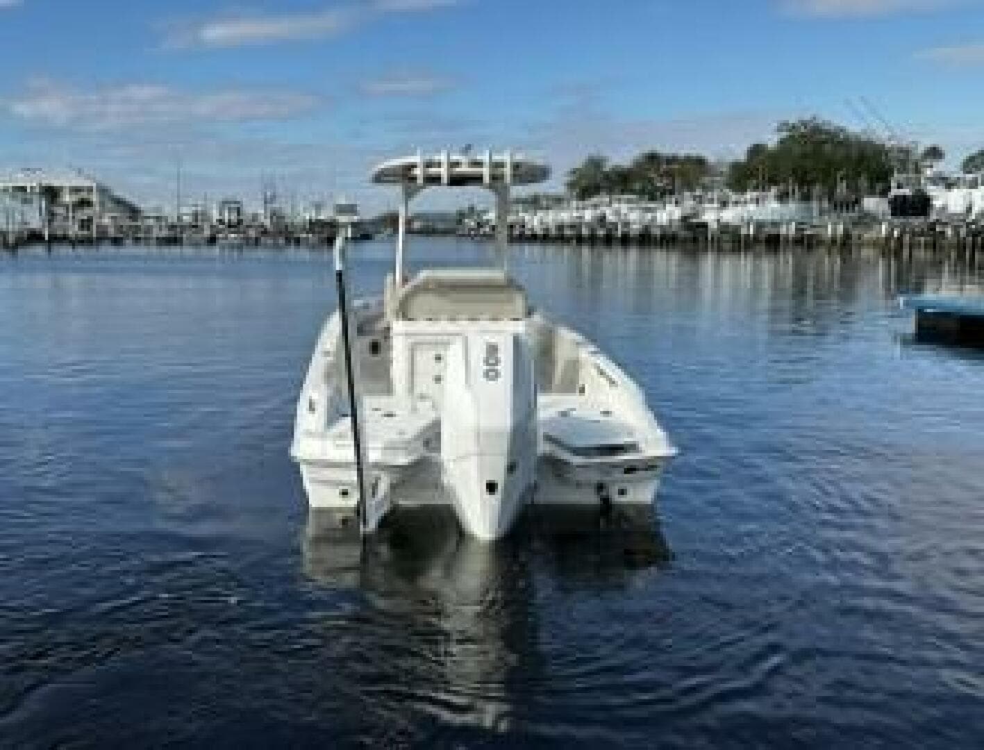 2023 Boston Whaler 250 Dauntless — photo 6