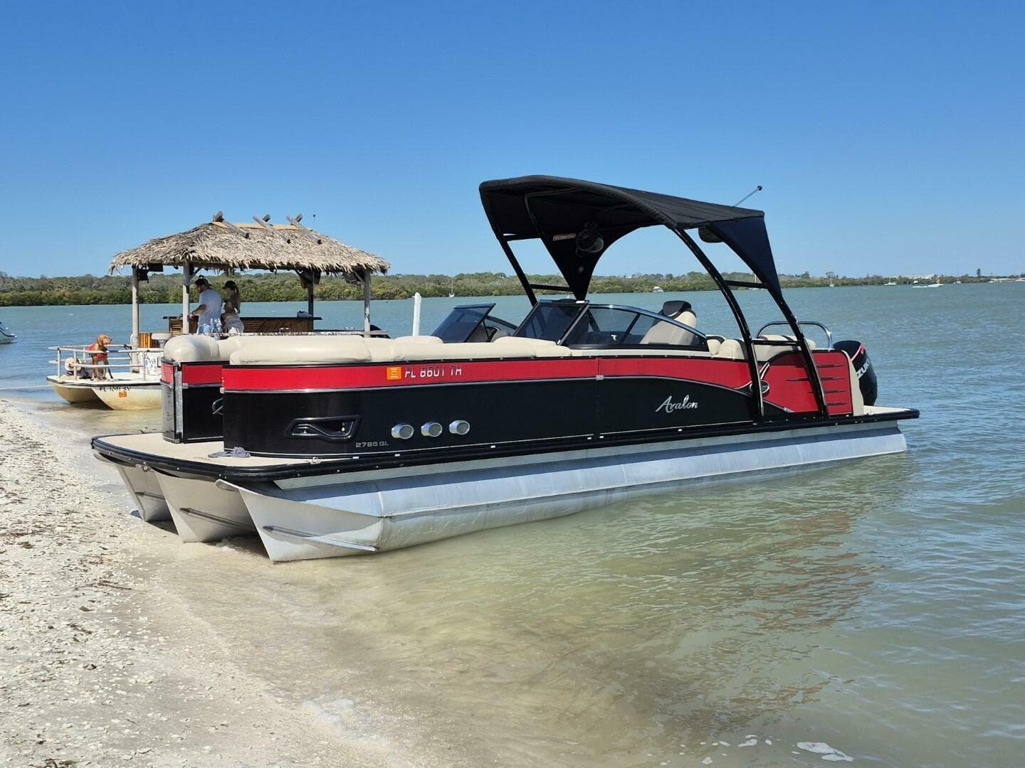 2017 Avalon 2785 Catalina Ql — photo 3