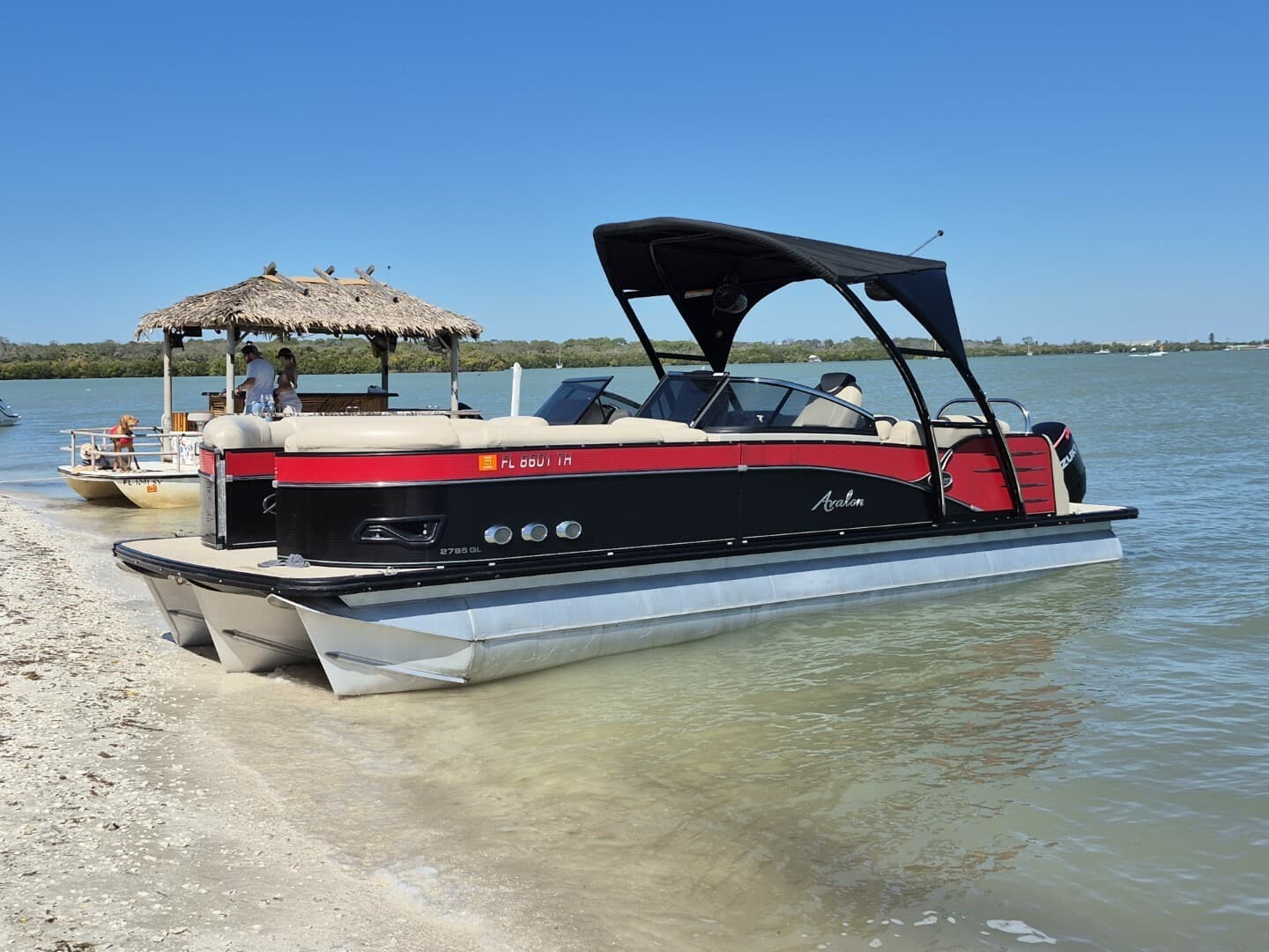 2017 Avalon 2785 Catalina Ql