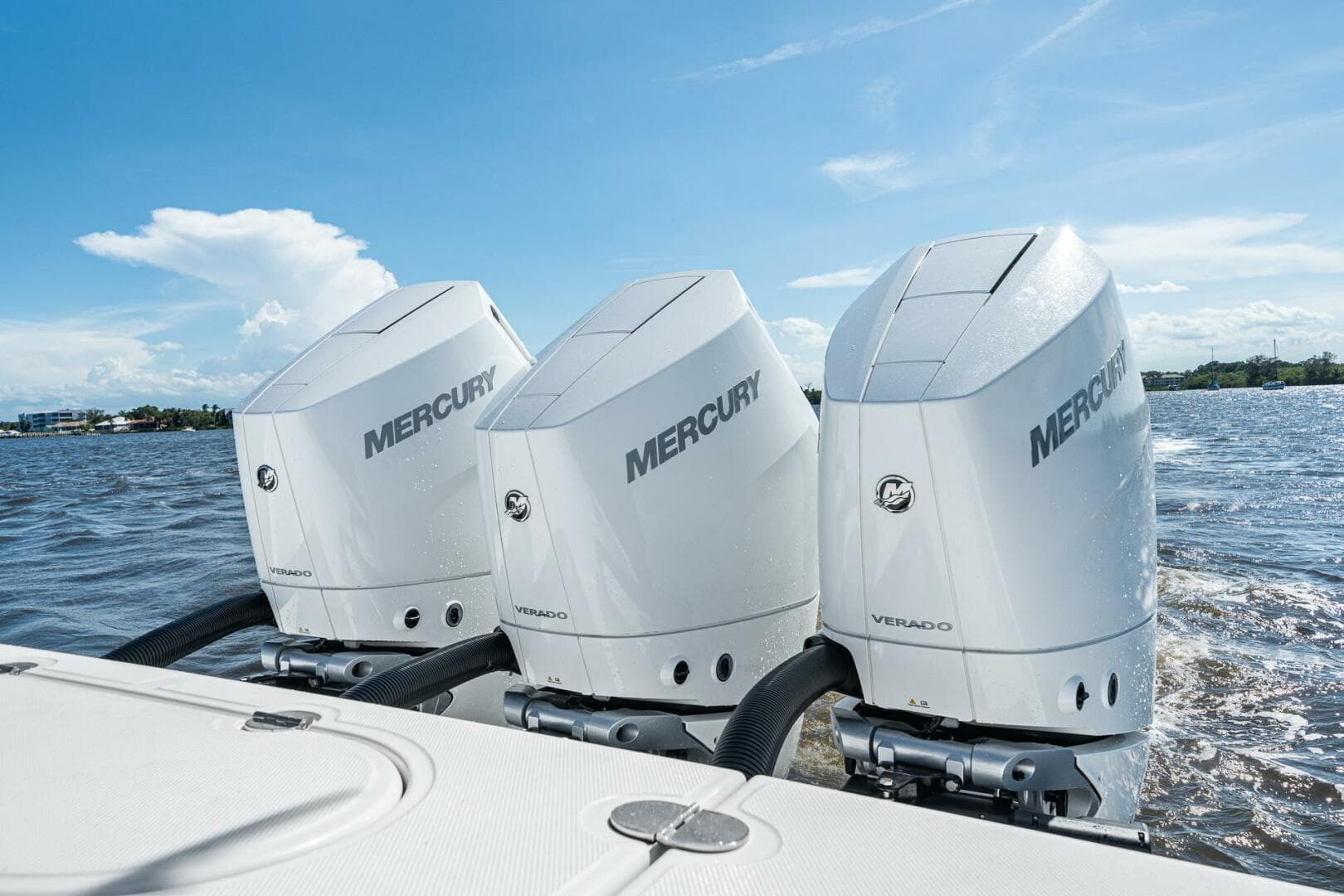 2024 Bahama 41 — photo 43