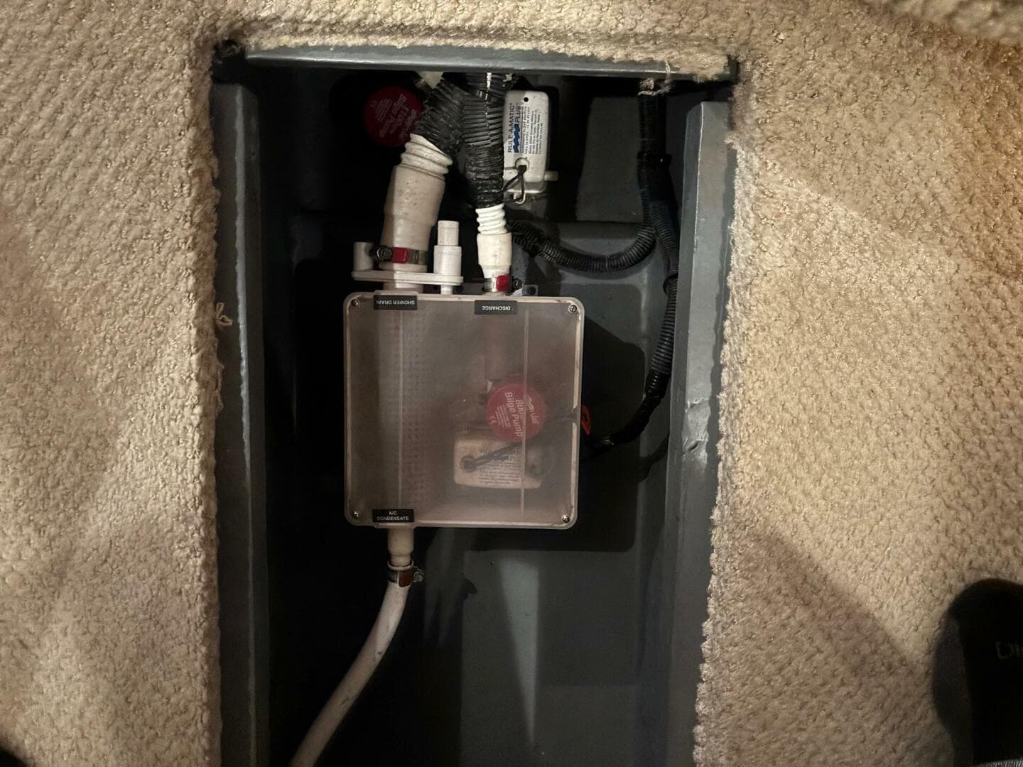 2003 Sea Ray 340 Sundancer — photo 13