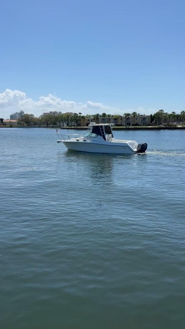 2001 Stamas 310 Express — photo 6