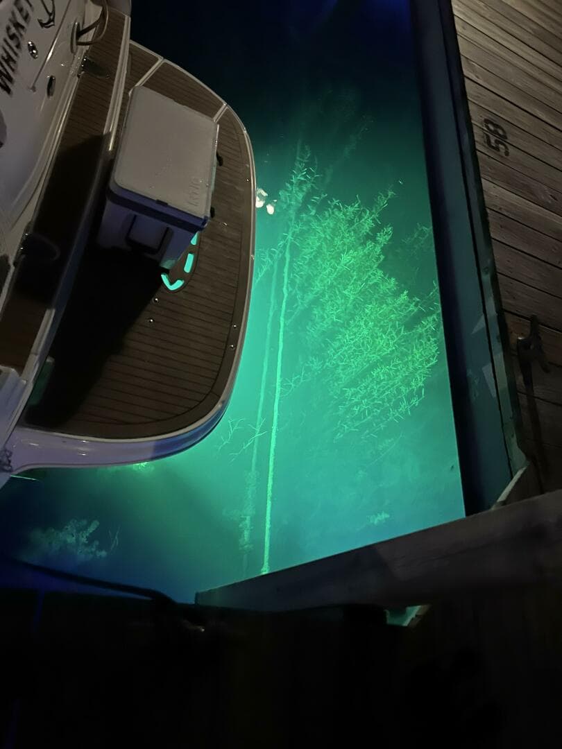 2006 Sea Ray 320 Sundancer — photo 11