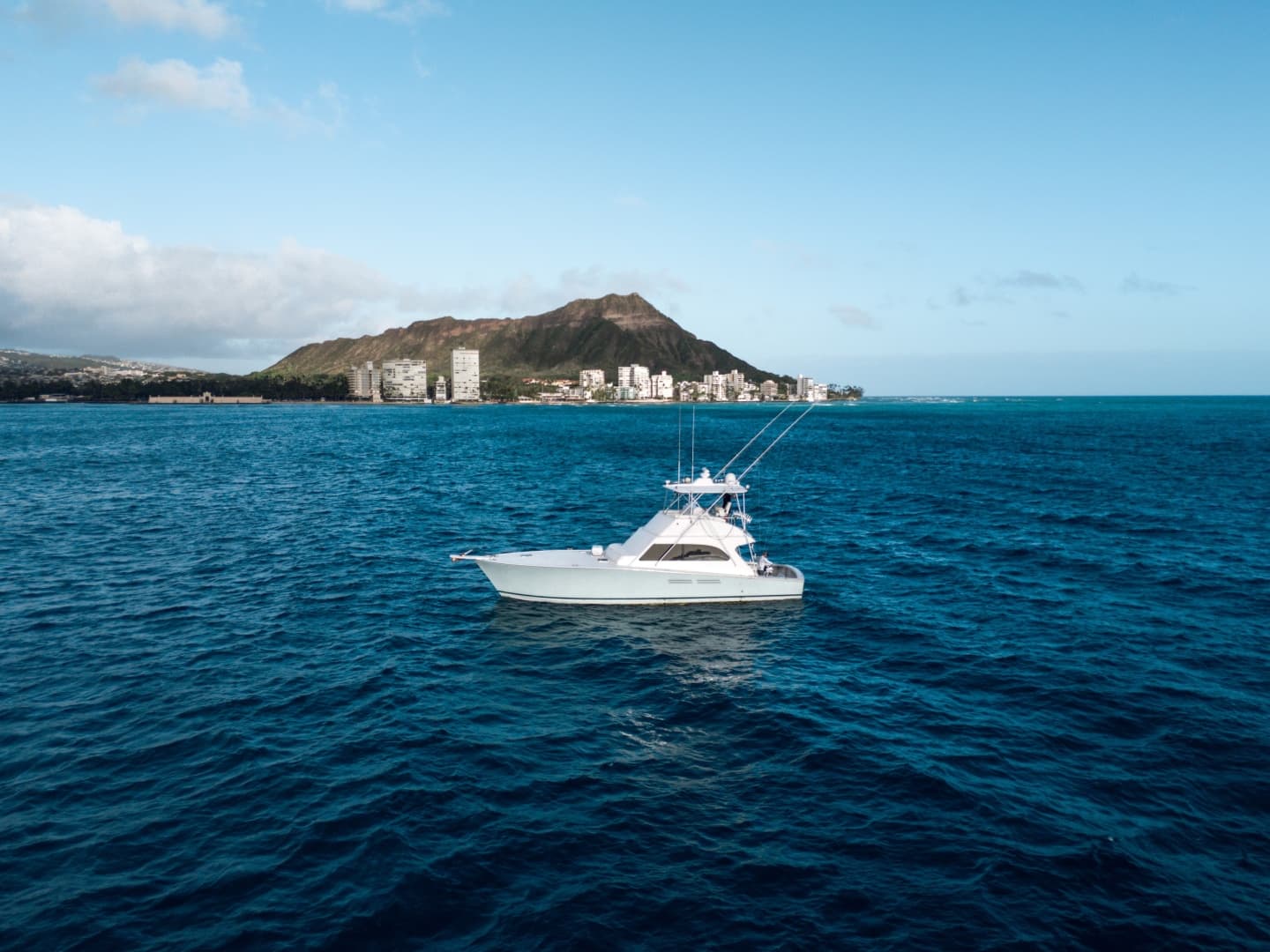 1998 Commercial Post — photo 28