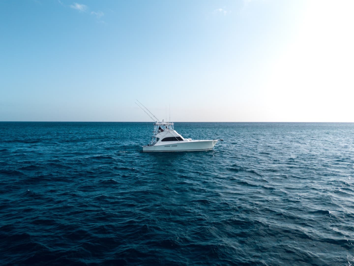 1998 Commercial Post — photo 27