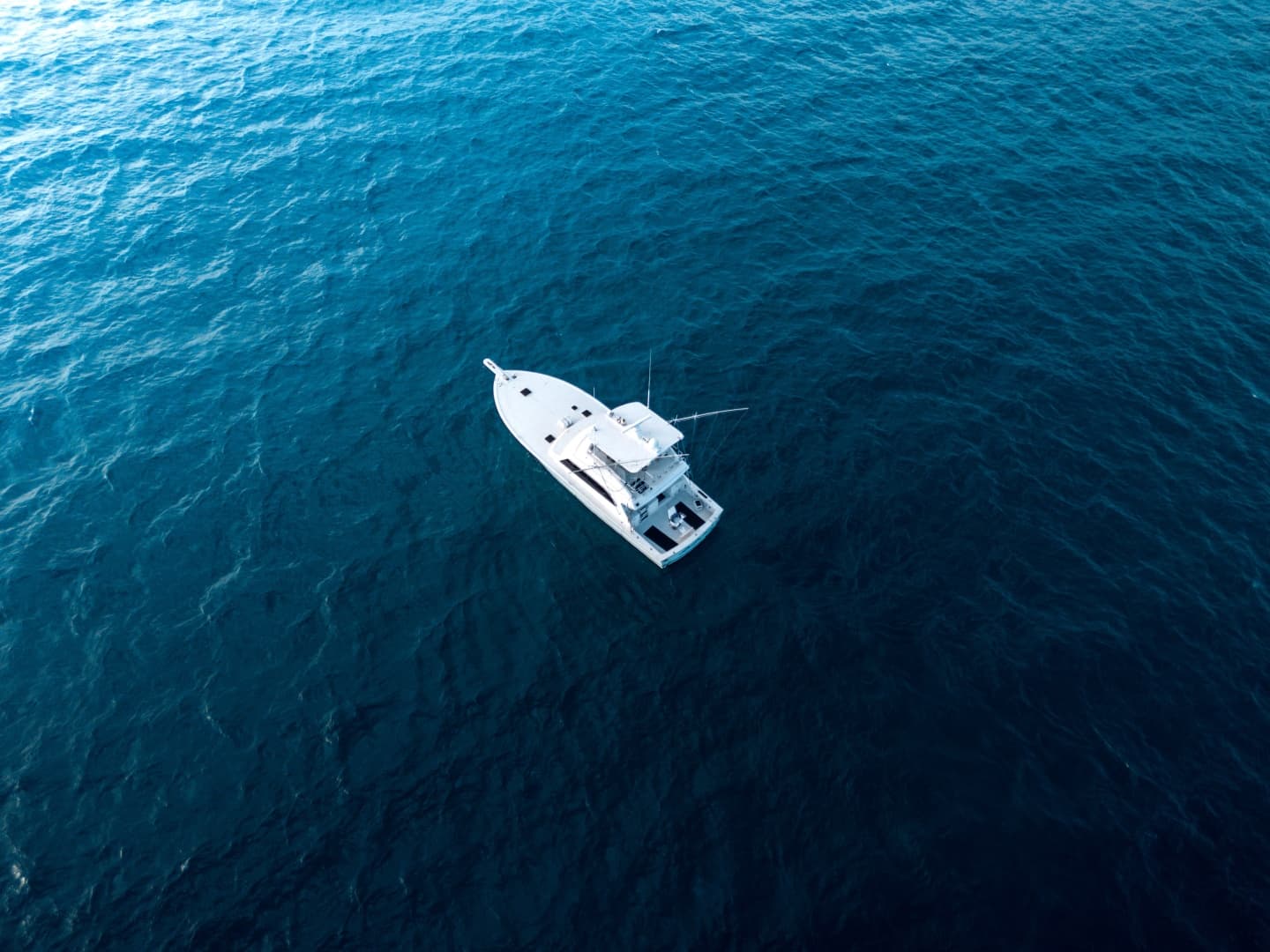 1998 Commercial Post — photo 26