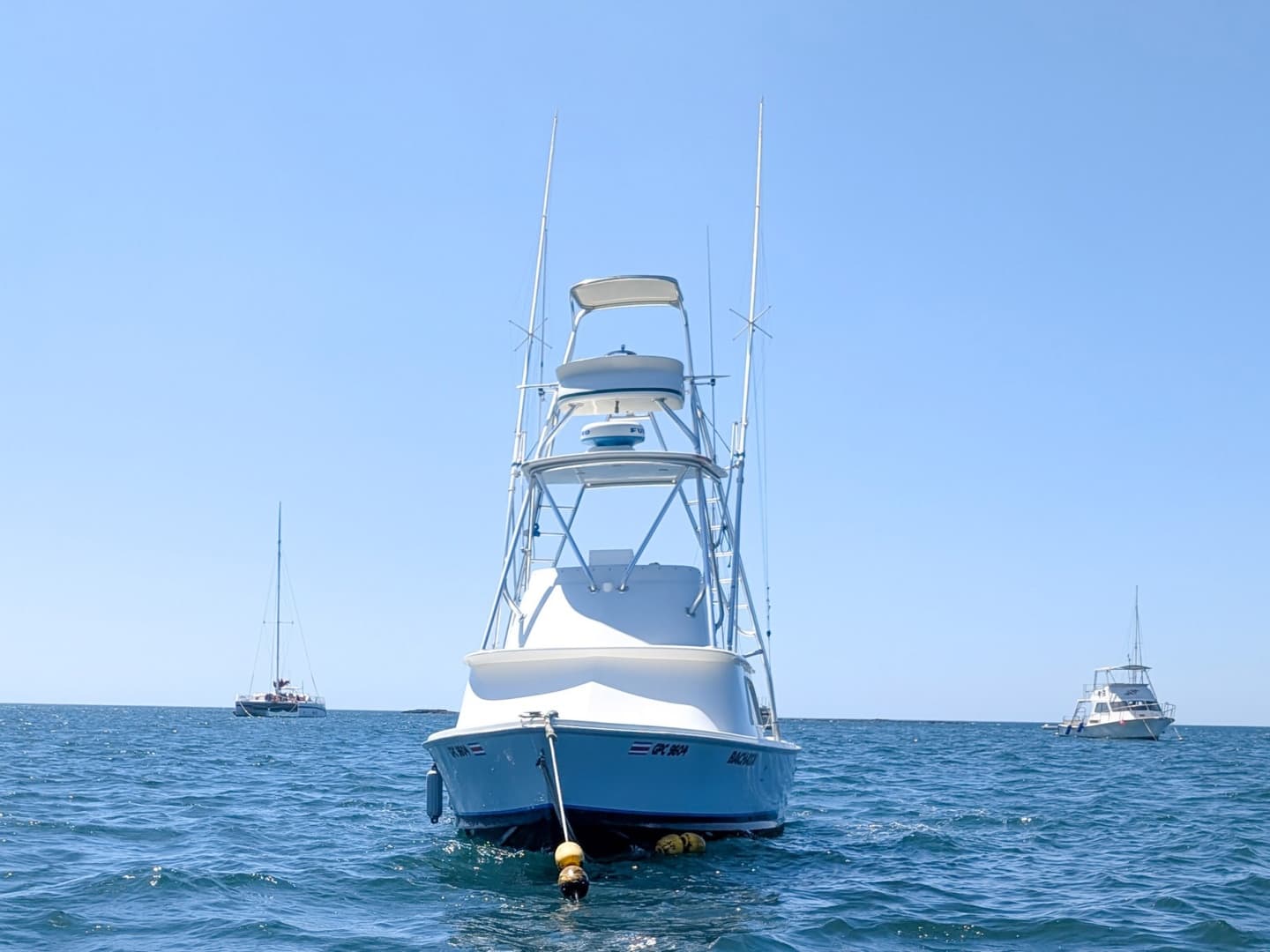 1973 Bertram Sportfisher — photo 6