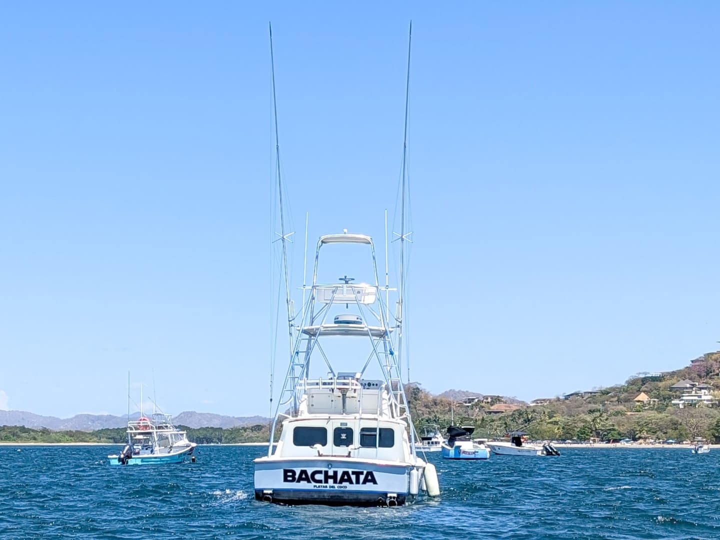 1973 Bertram Sportfisher — photo 5